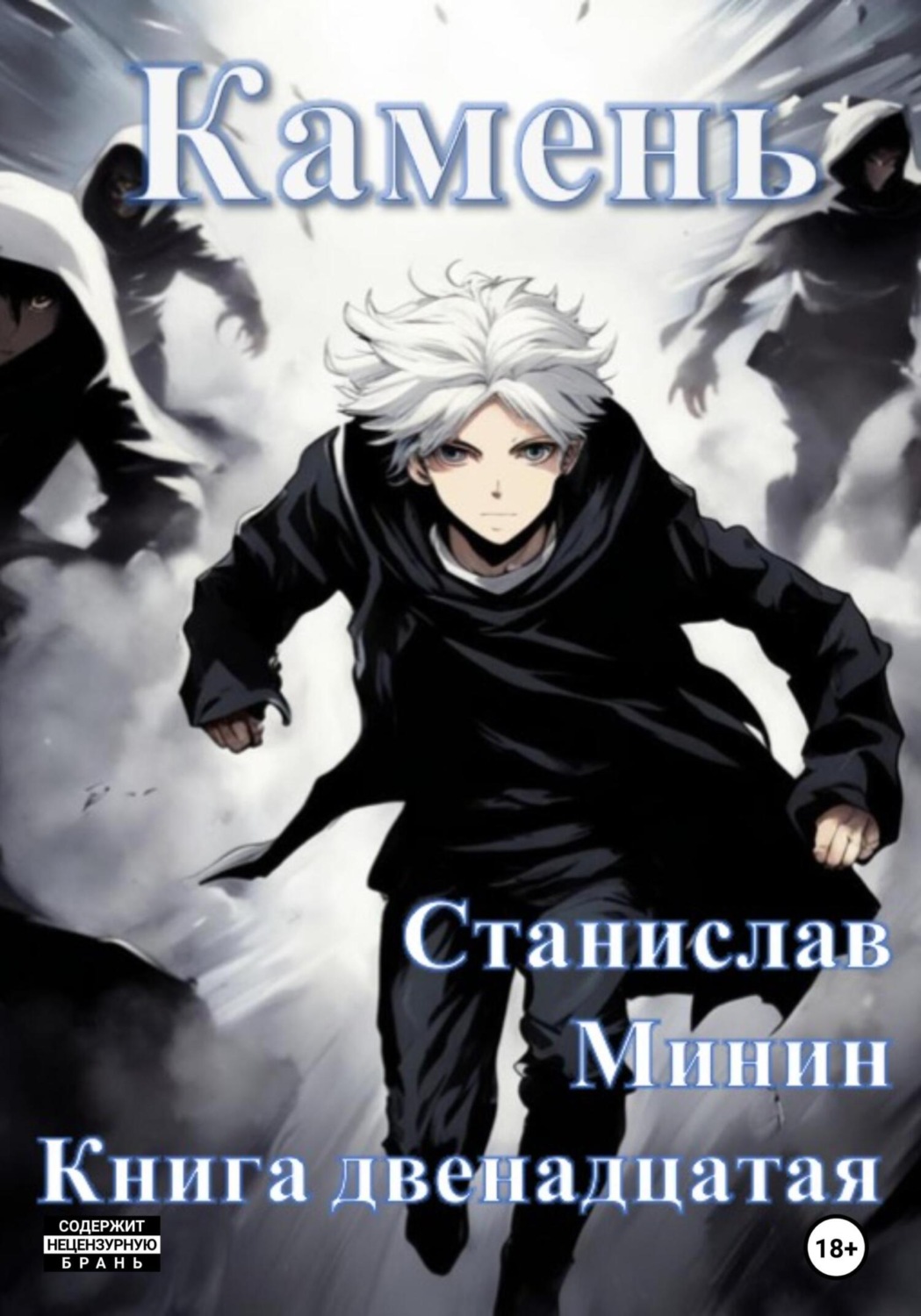 Обложка книги «Камень. Книга двенадцатая»