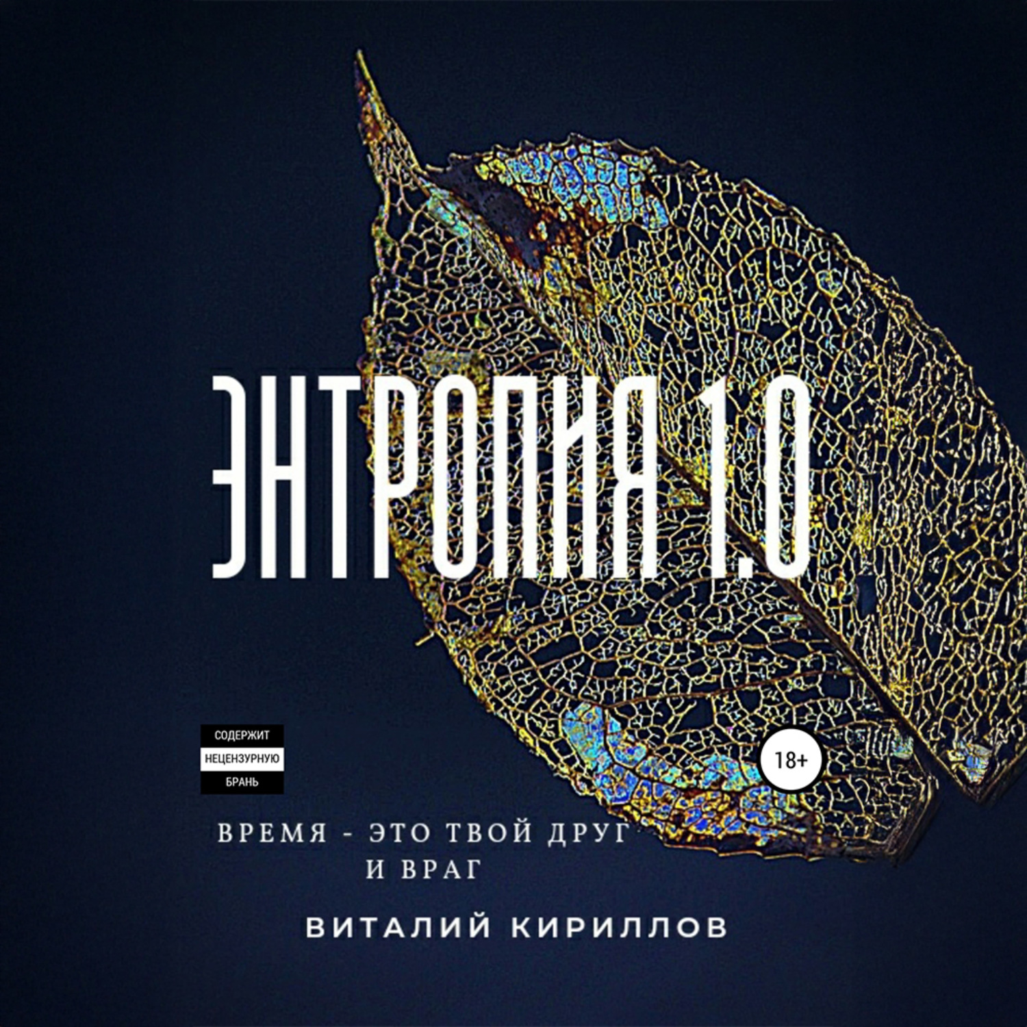 Обложка книги «Энтропия 1.0»