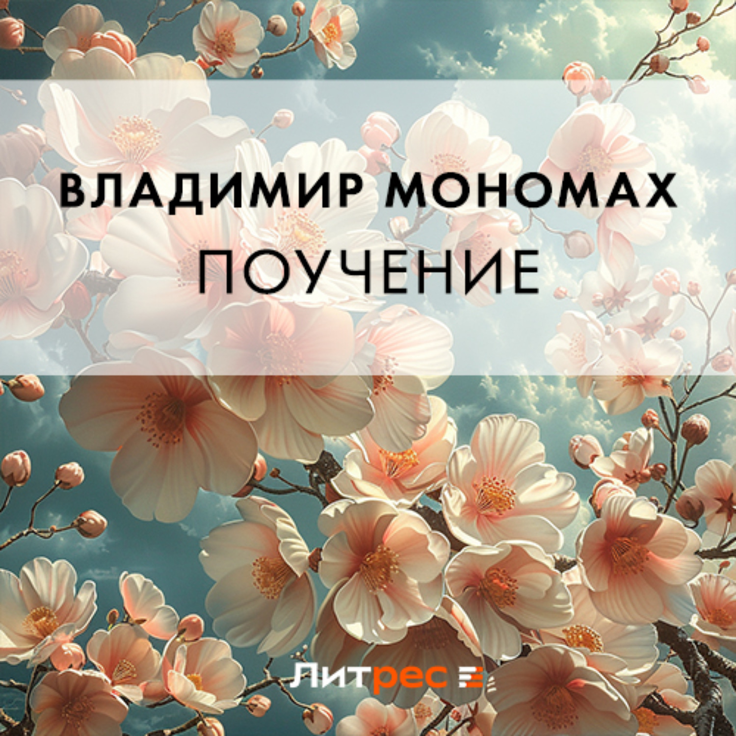 Обложка книги «Поучение»