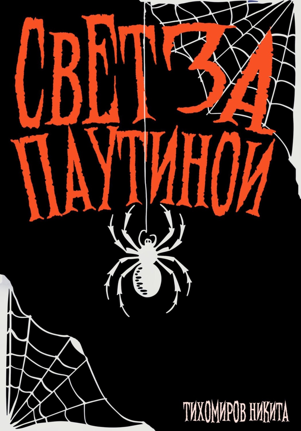 Обложка книги «Свет за паутиной»