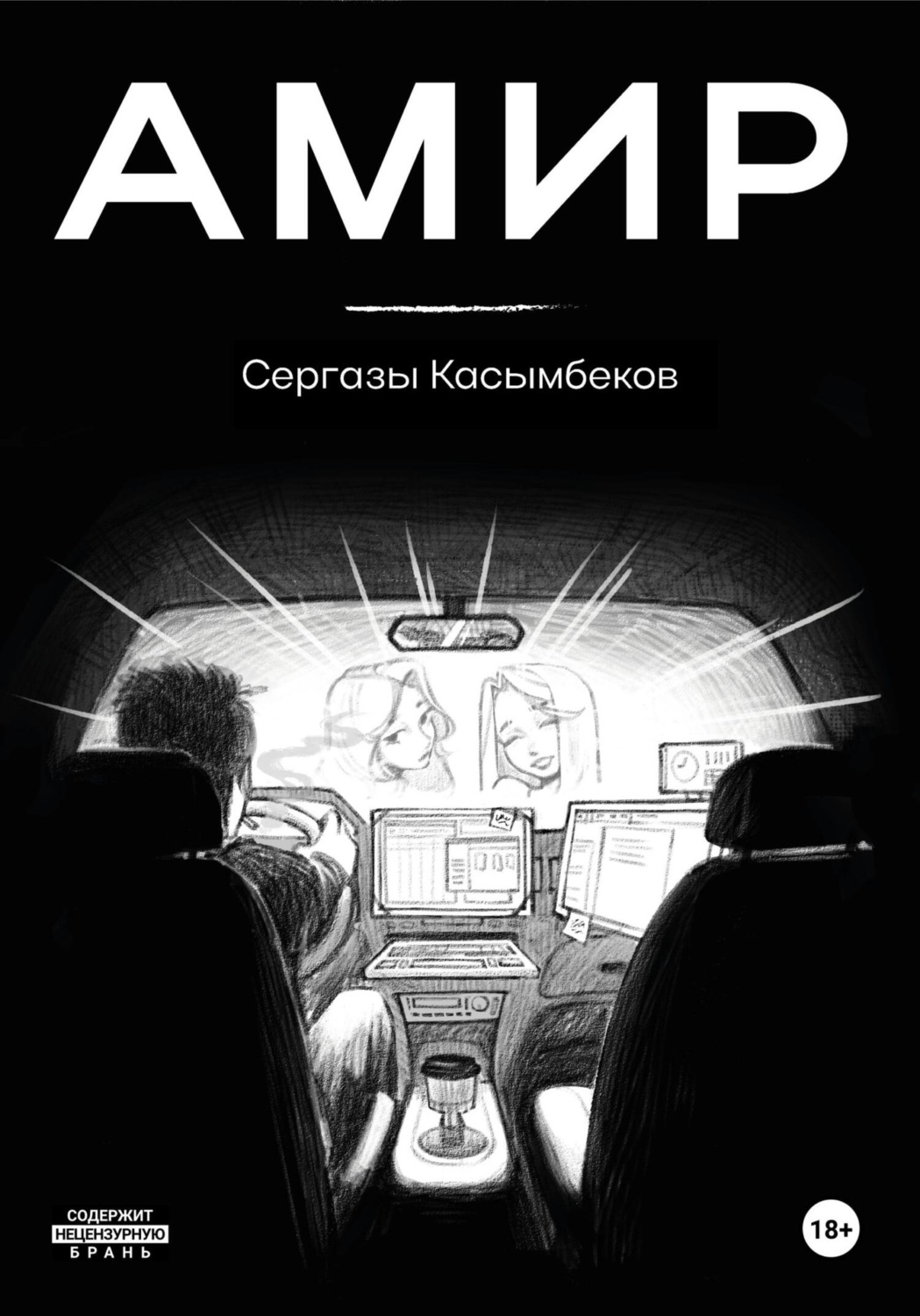 Обложка книги «Амир»