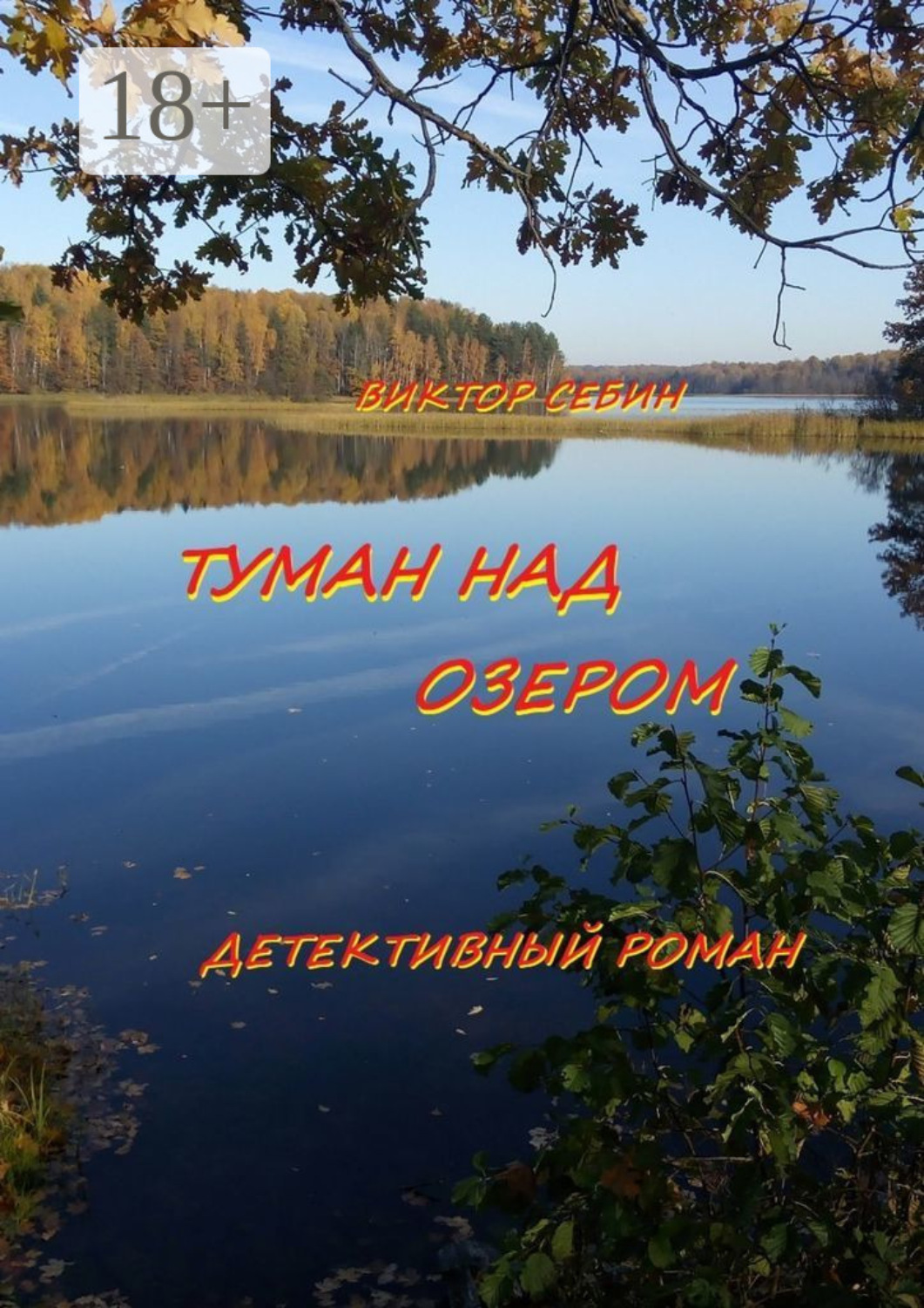 Обложка книги «Туман над озером. Детективный роман»