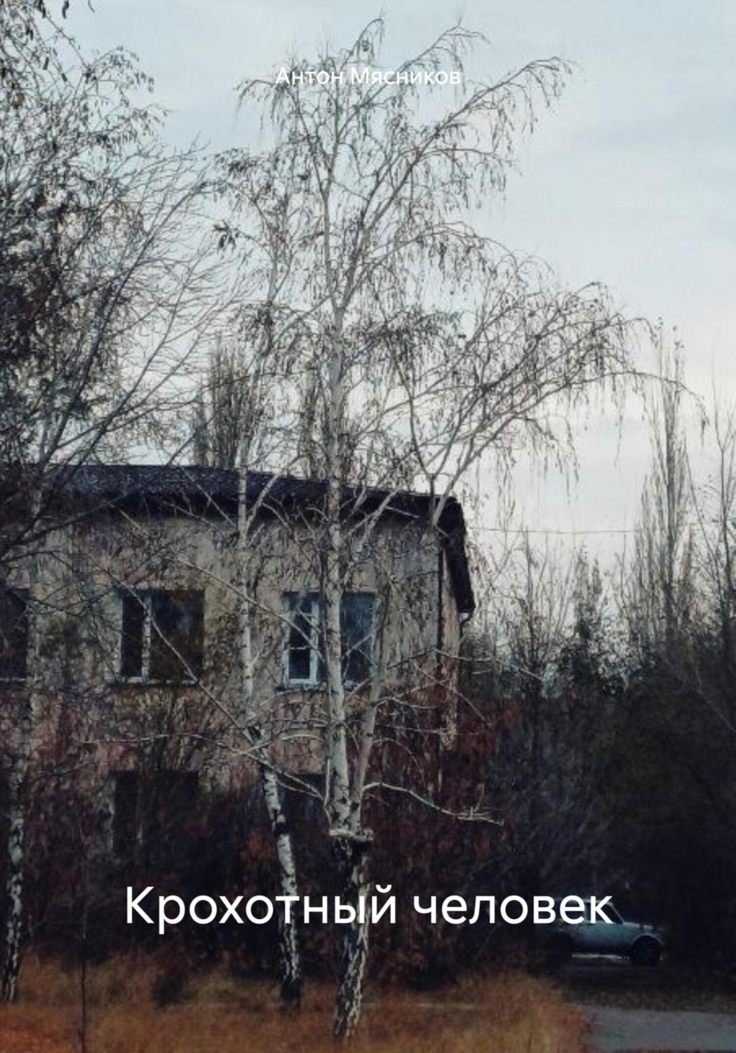 Обложка книги «Крохотный человек»