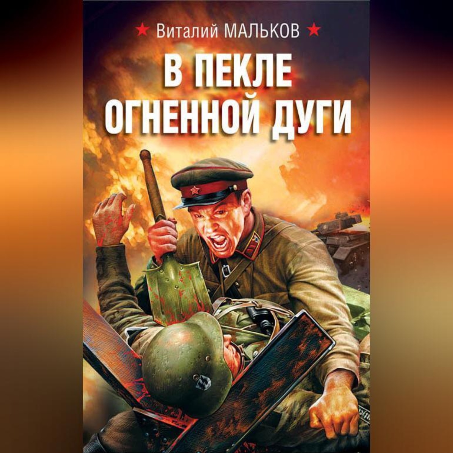 Обложка книги «В пекле огненной дуги»