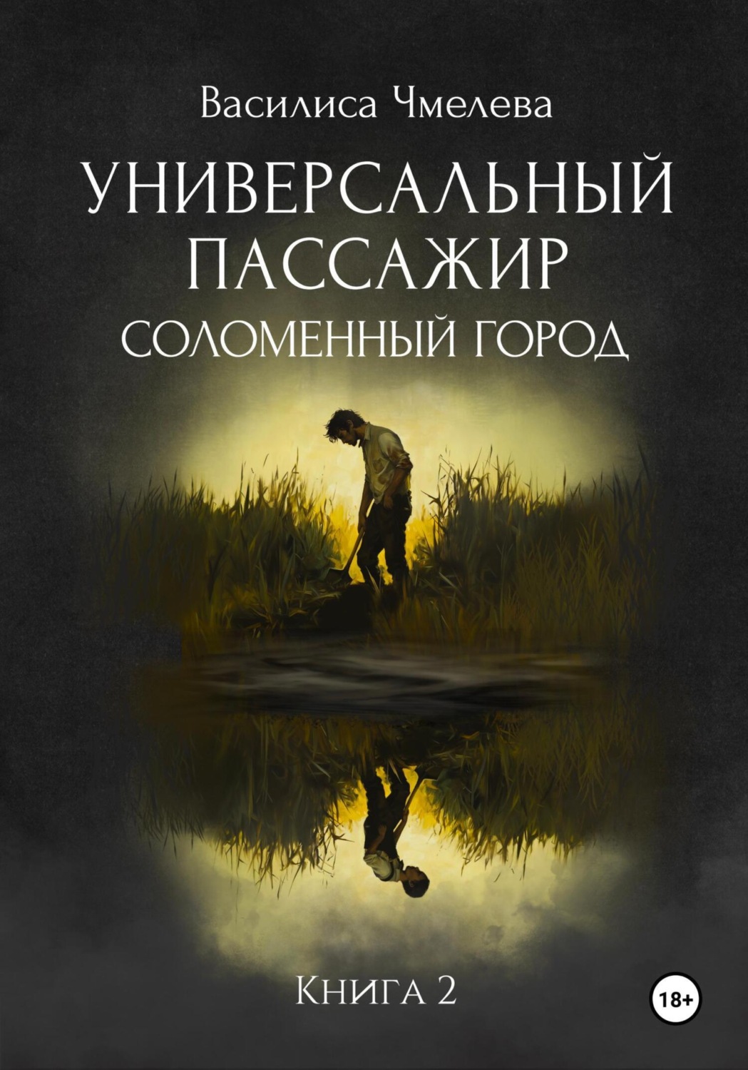 Обложка книги «Универсальный пассажир. Книга 2. Соломенный город»