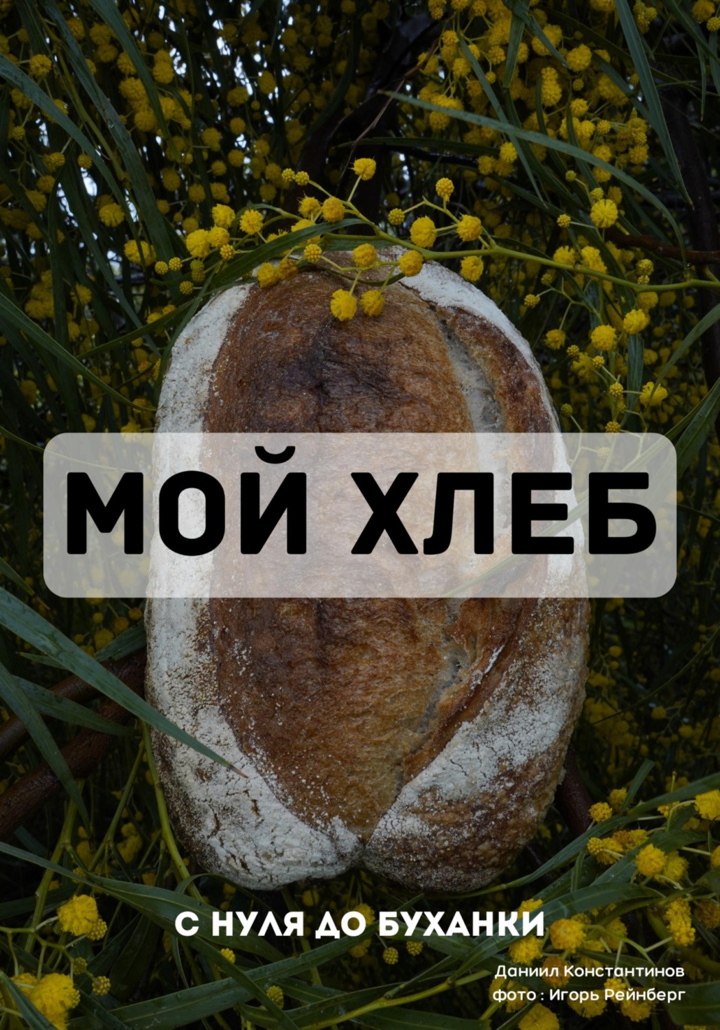 Обложка книги «Мой Хлеб»