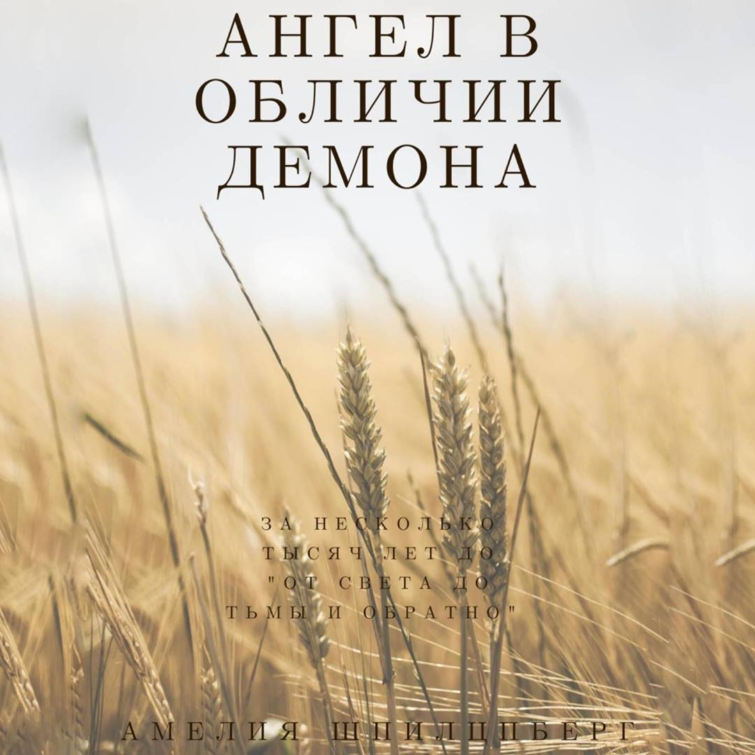 Обложка книги «Ангел в обличии демона»