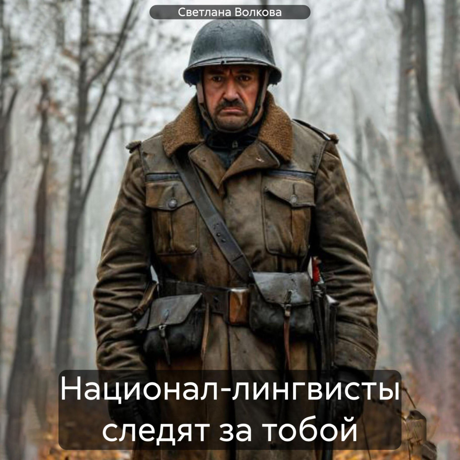 Обложка книги «Национал-лингвисты следят за тобой»