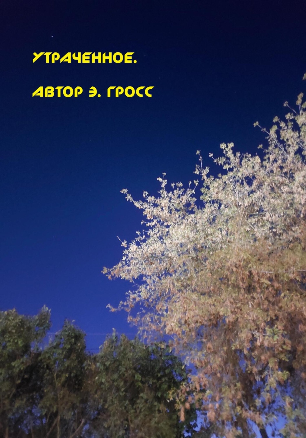 Обложка книги «Утраченное»