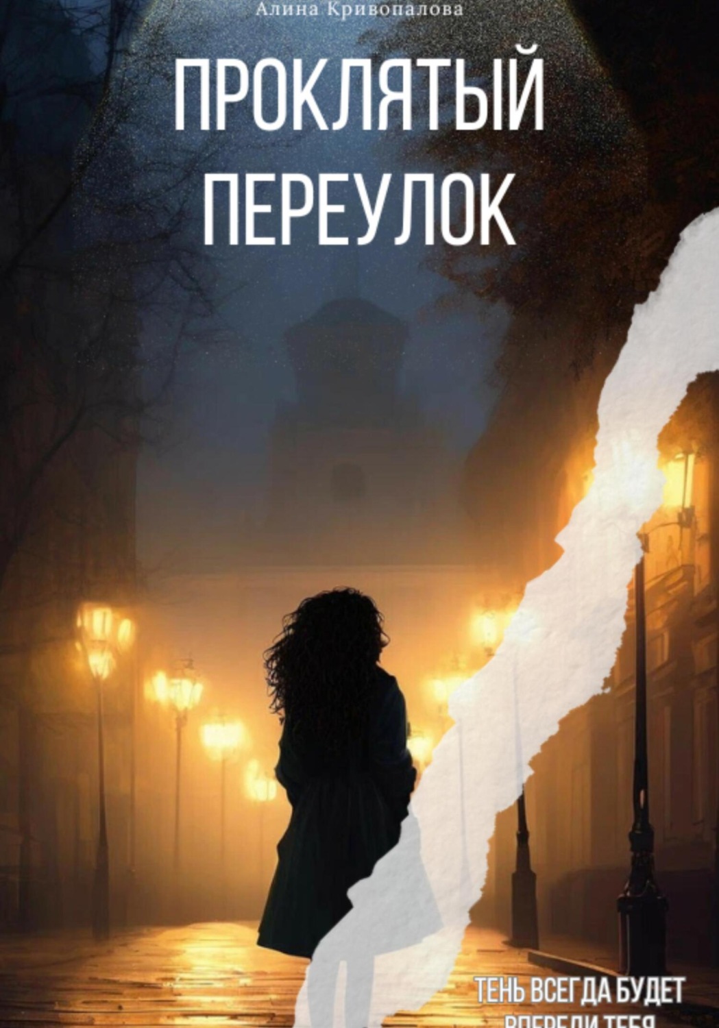 Обложка книги «Проклятый Переулок»