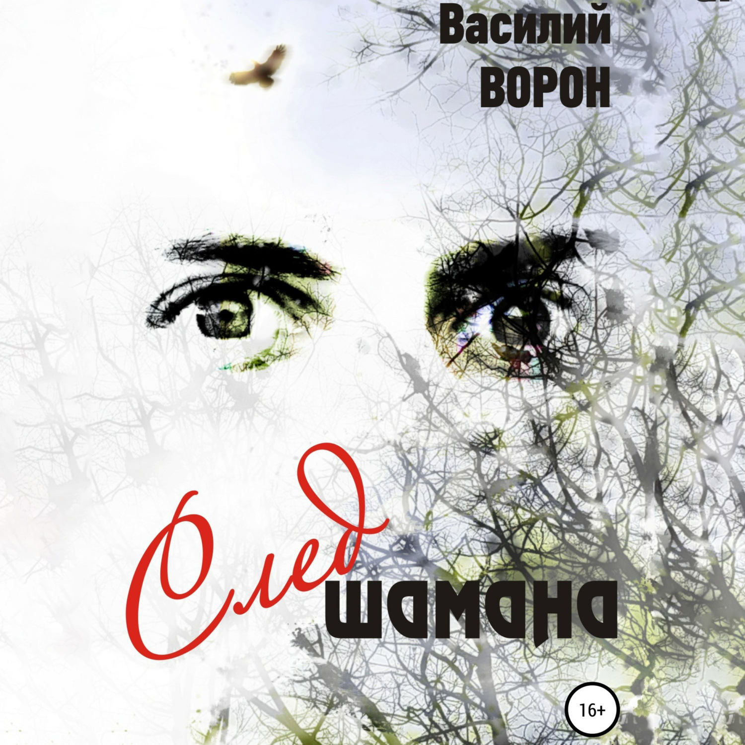 Обложка книги «След шамана»