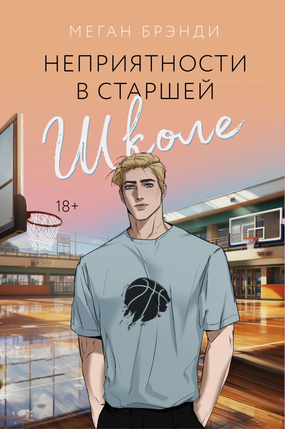 Обложка книги «Неприятности в старшей школе»