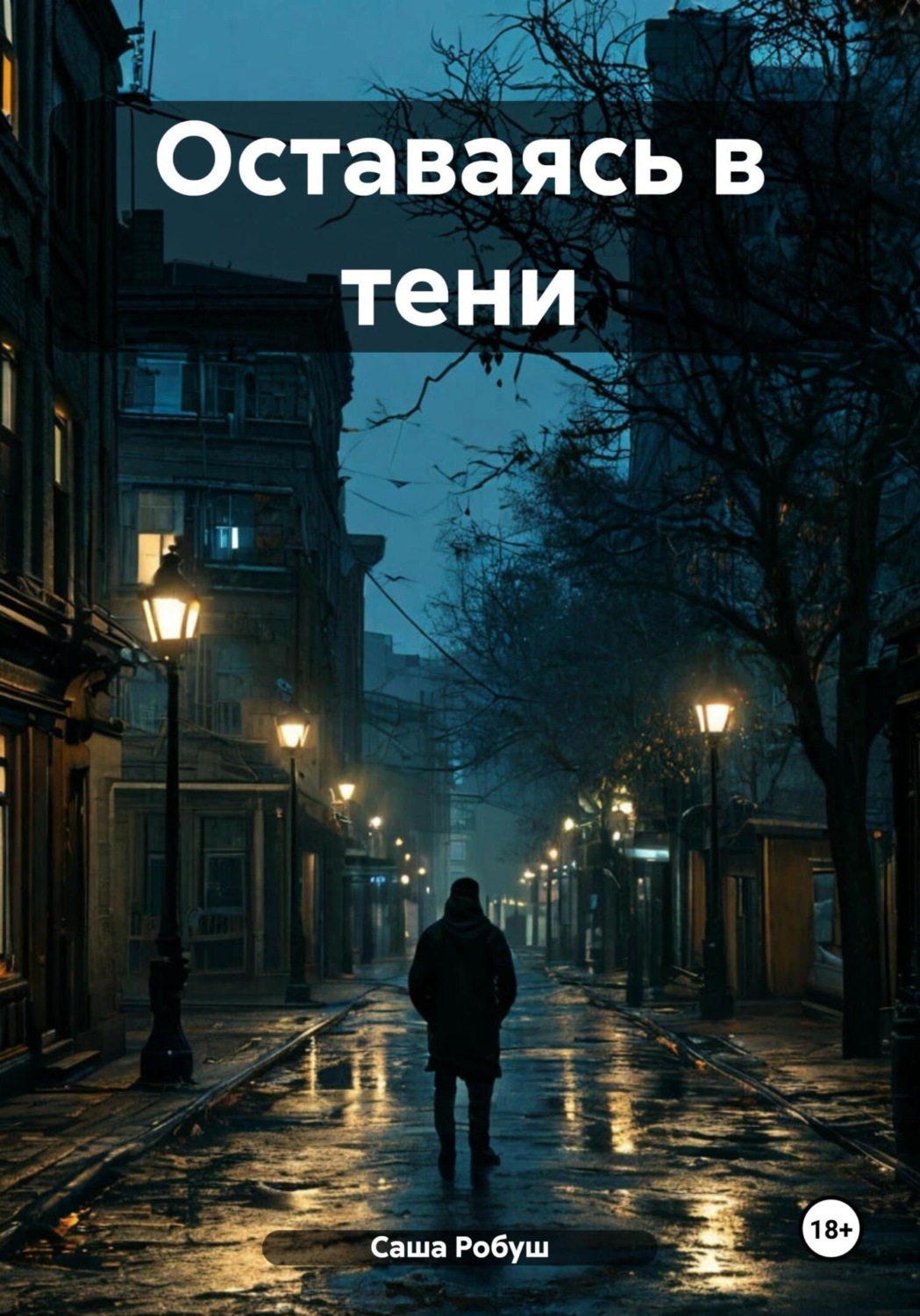 Обложка книги «Оставаясь в тени»