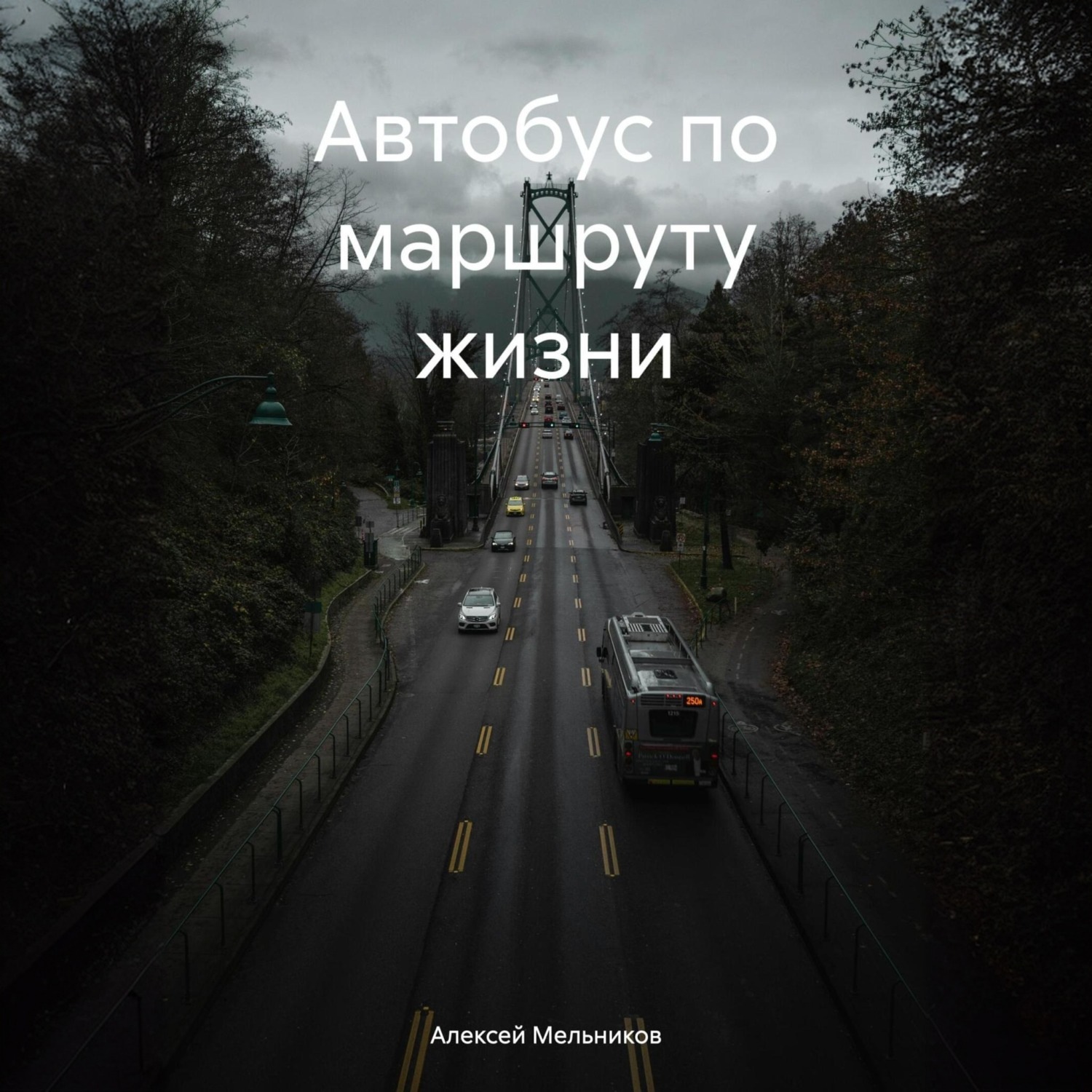 Обложка книги «Автобус по маршруту жизни»