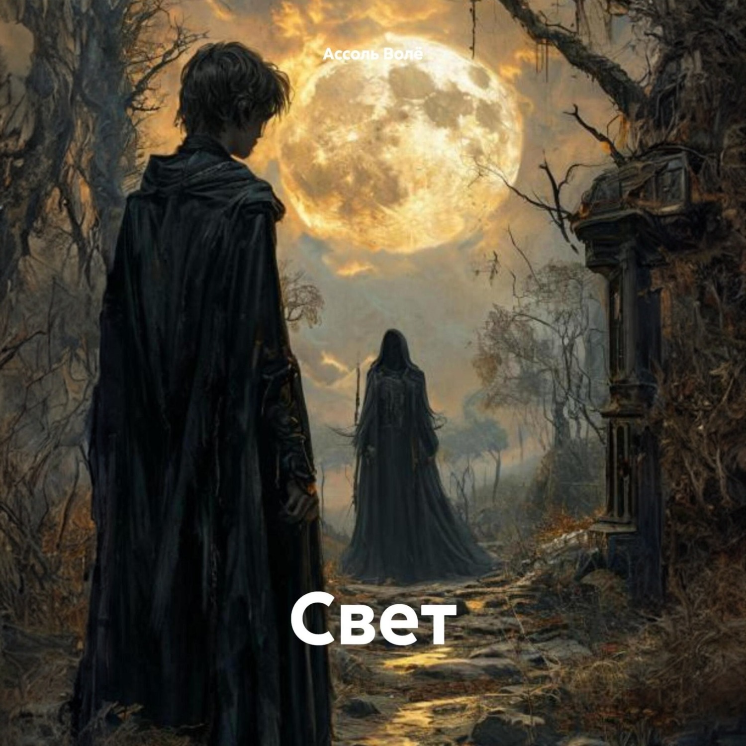 Обложка книги «Свет»