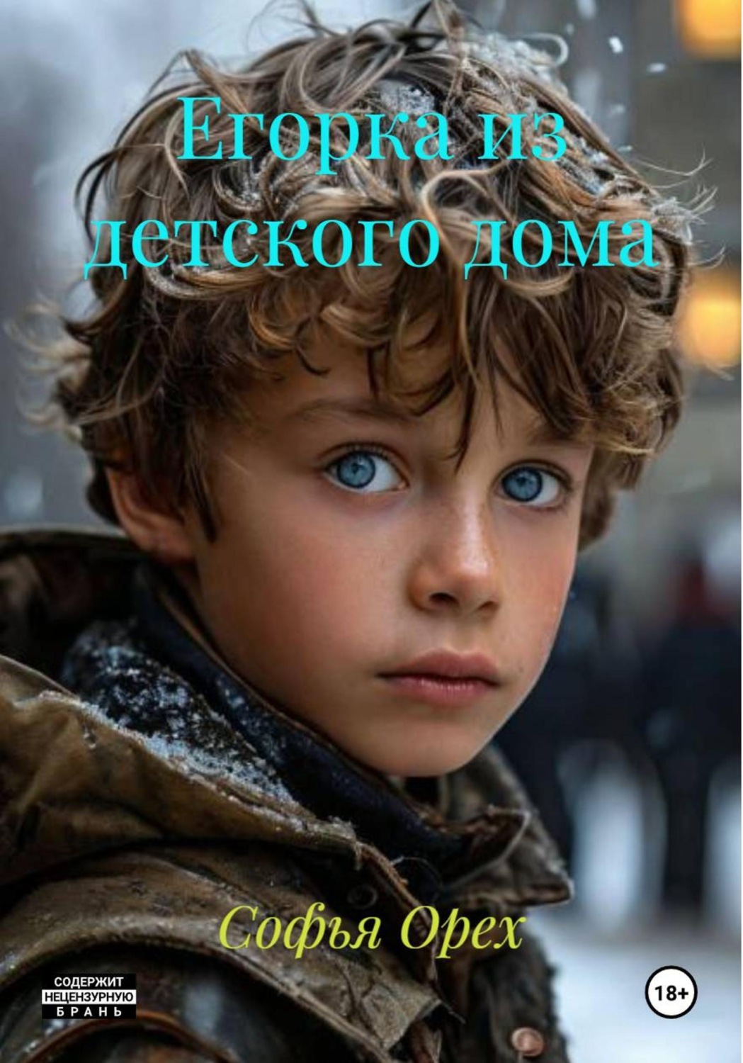 Обложка книги «Егорка из детского дома»