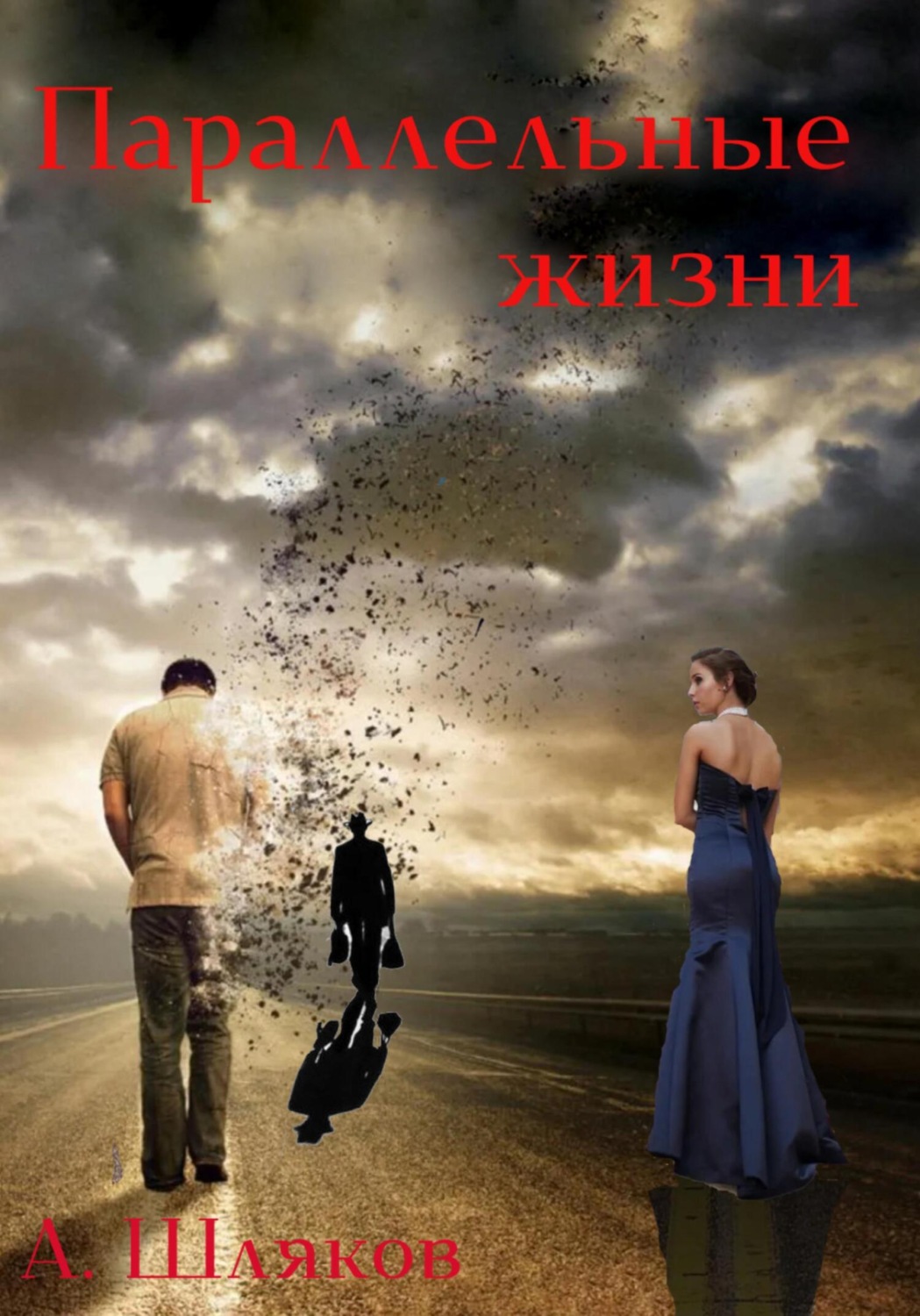 Обложка книги «Параллельные жизни»