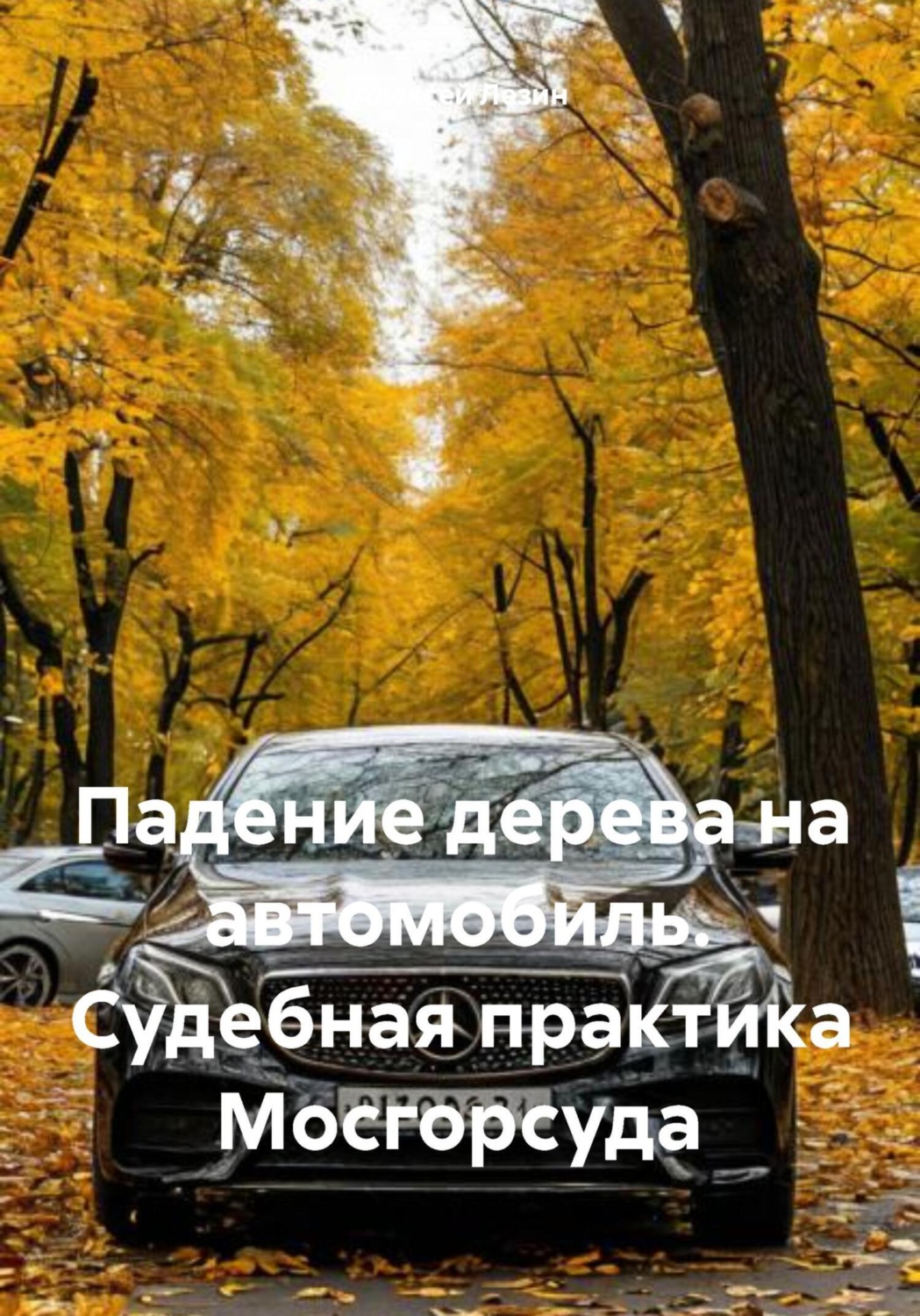 Обложка книги «Падение дерева на автомобиль. Судебная практика Мосгорсуда»