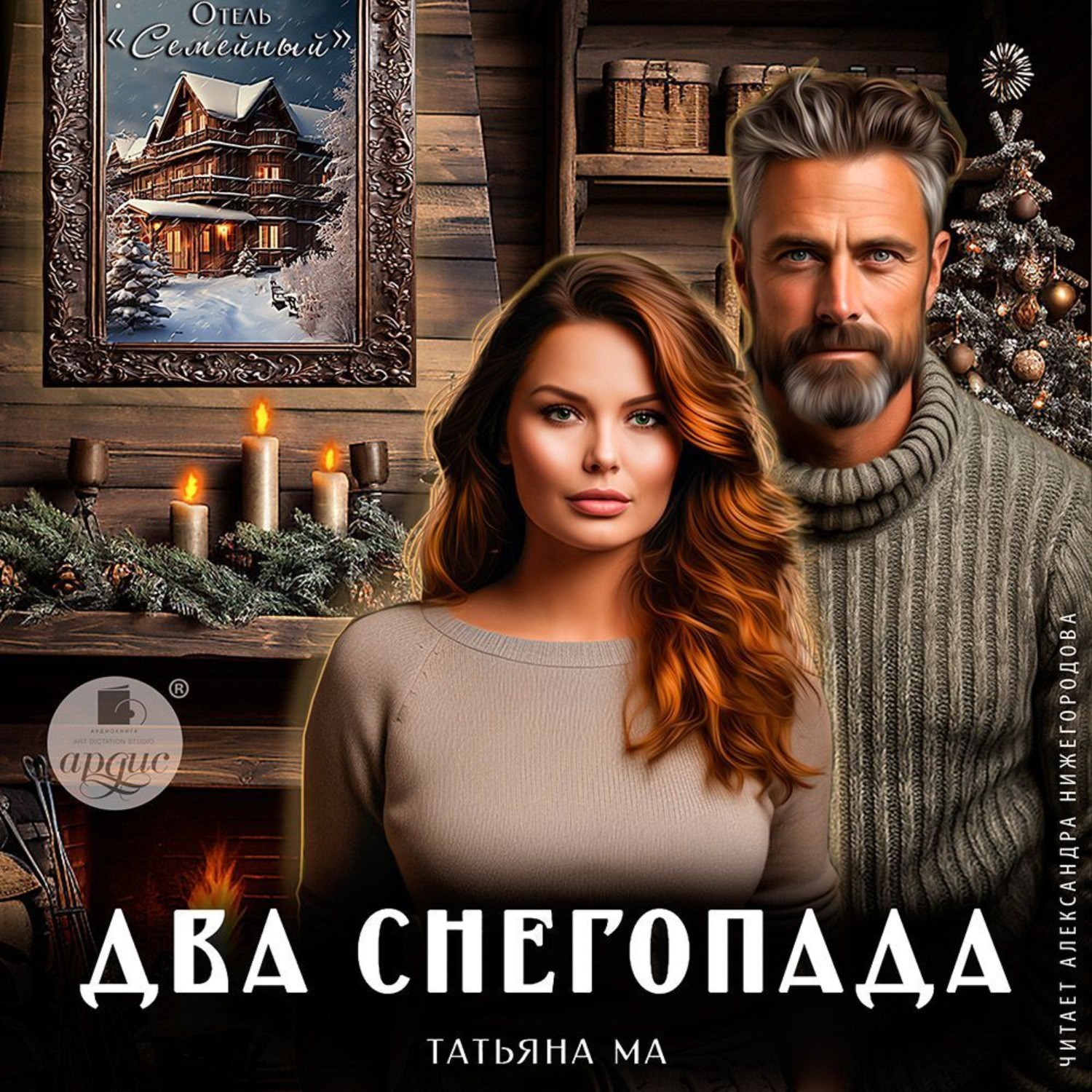 Обложка книги «Два снегопада»