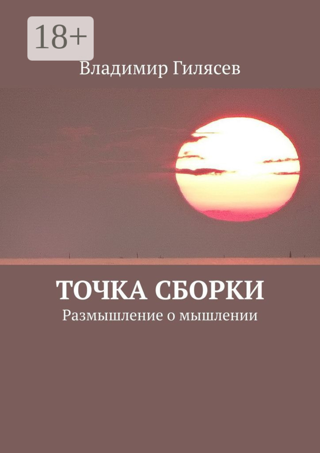 Обложка книги «Точка сборки. Размышление о мышлении»