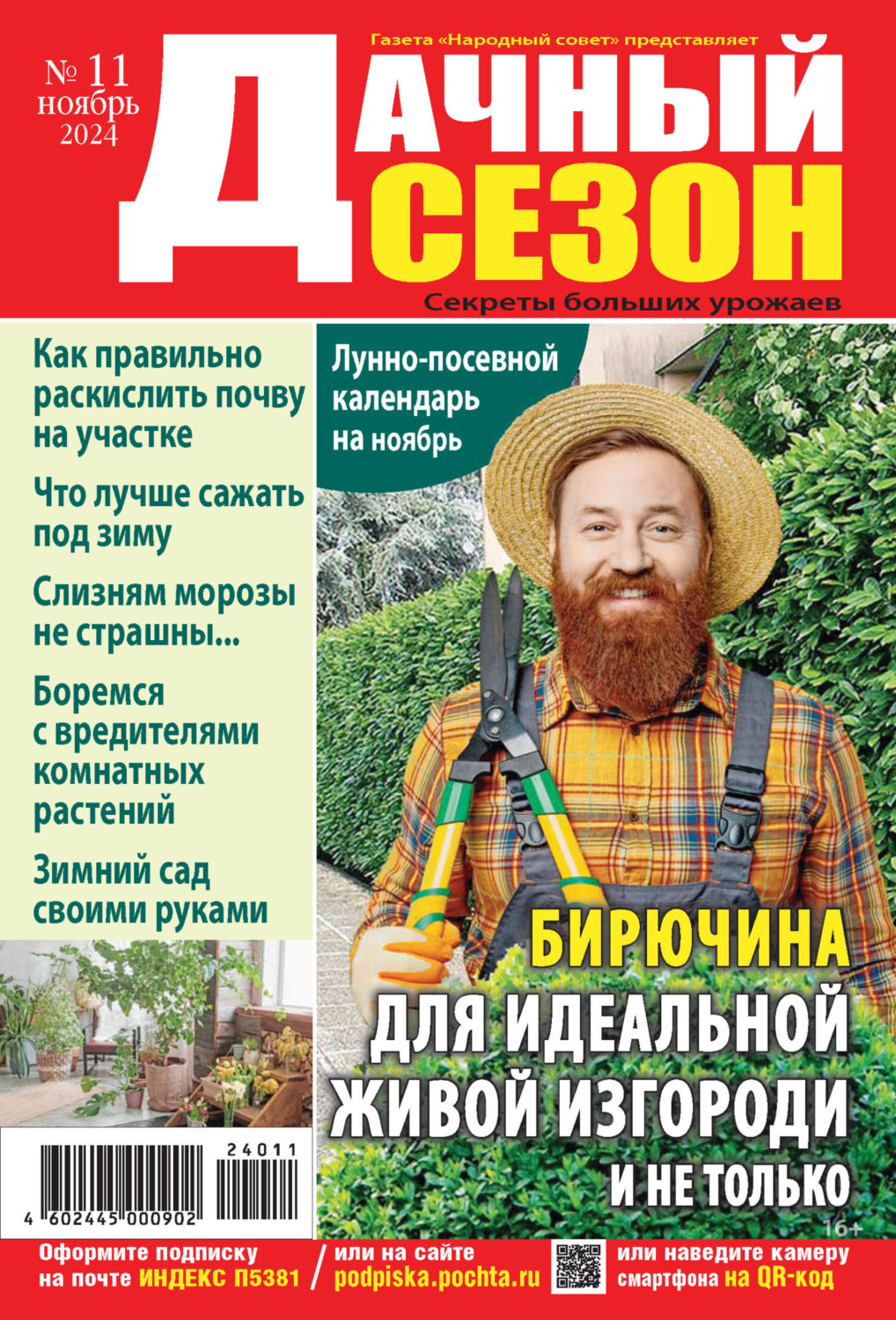 Обложка книги «Дачный сезон №11/2024»