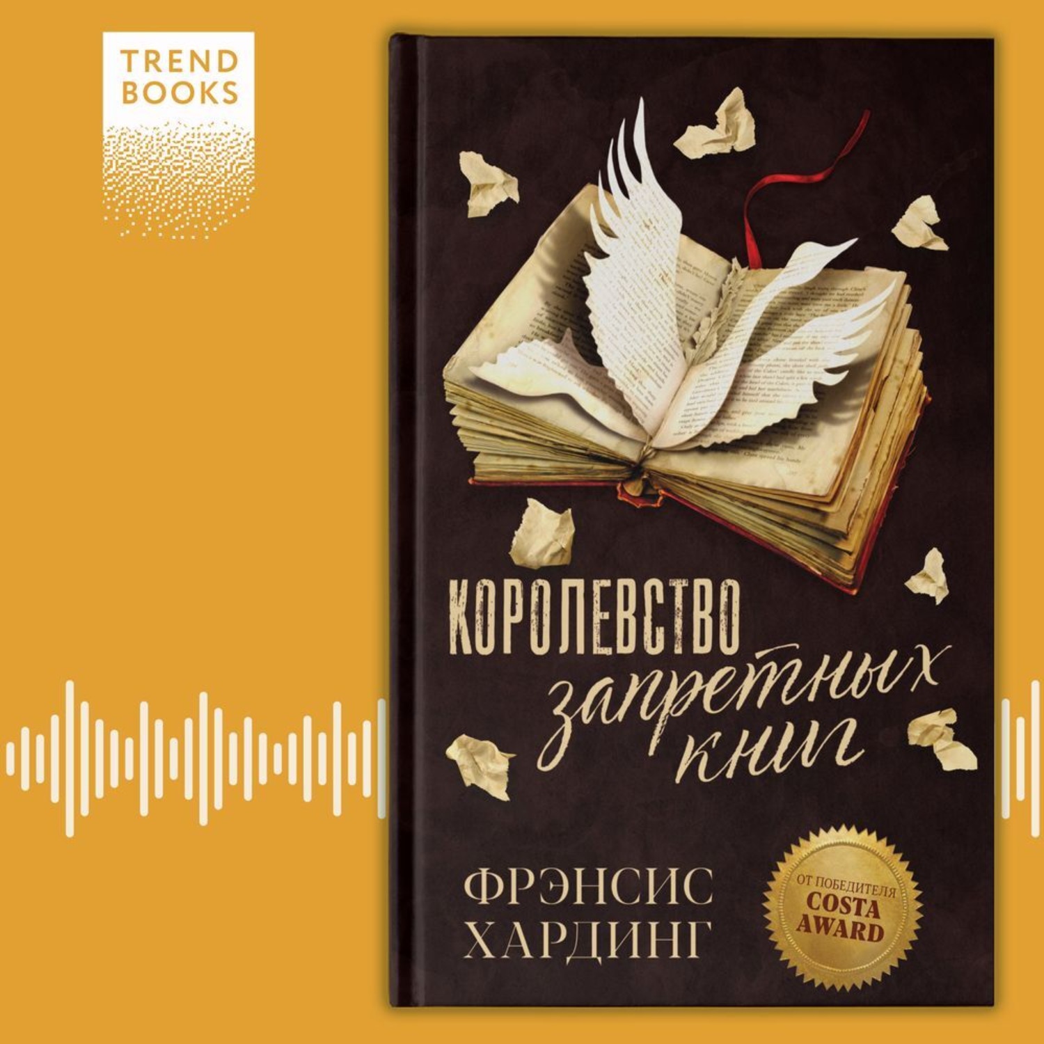 Обложка книги «Королевство запретных книг»