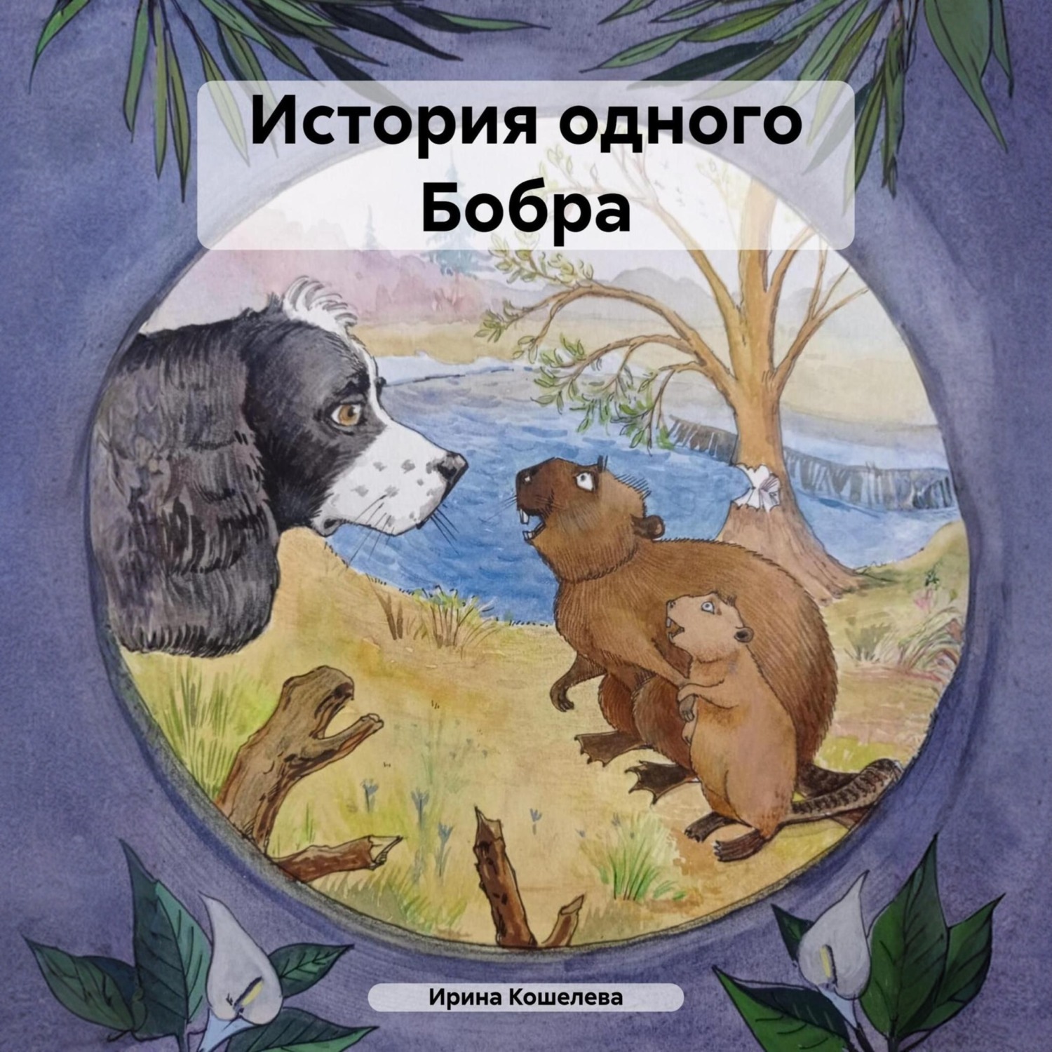 Обложка книги «История одного Бобра»