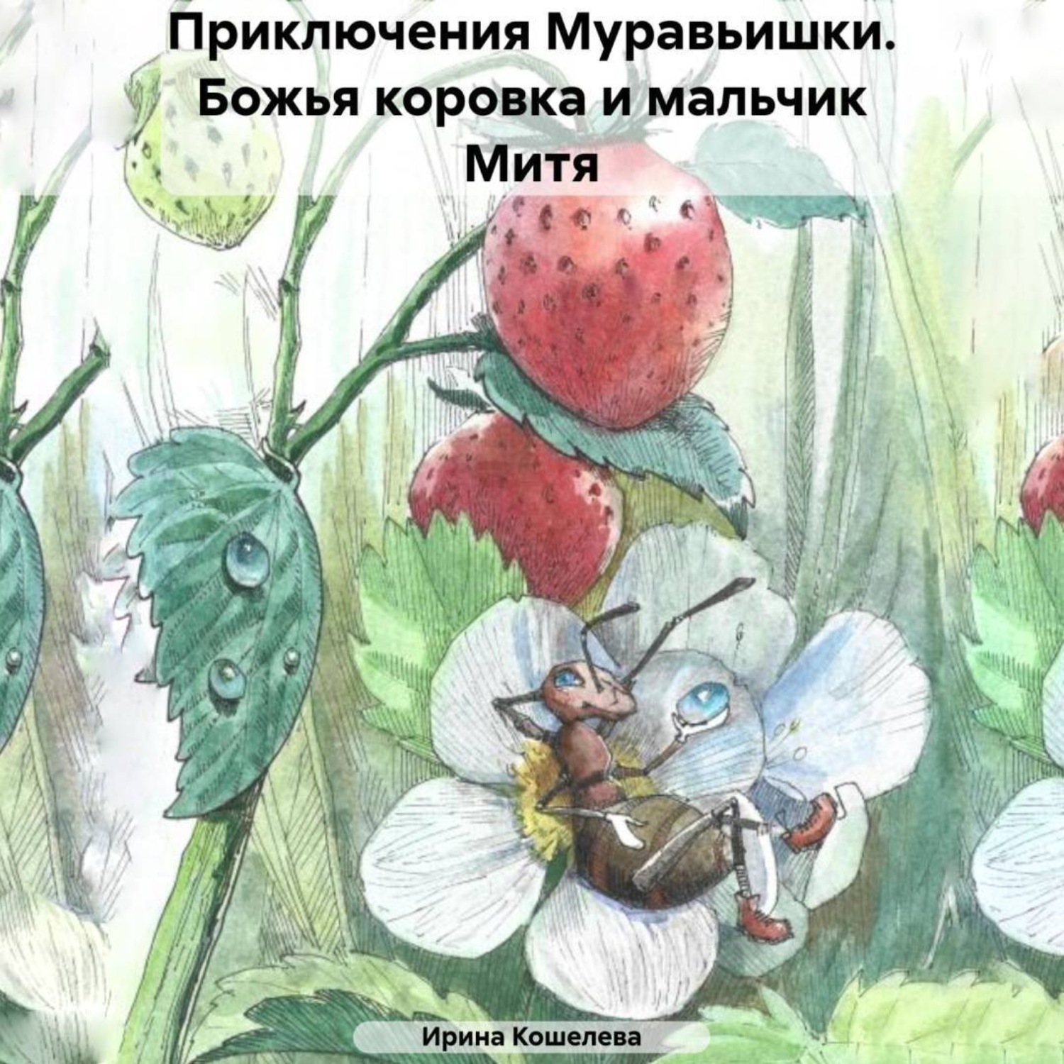 Обложка книги «Приключения Муравьишки. Божья коровка и мальчик Митя»
