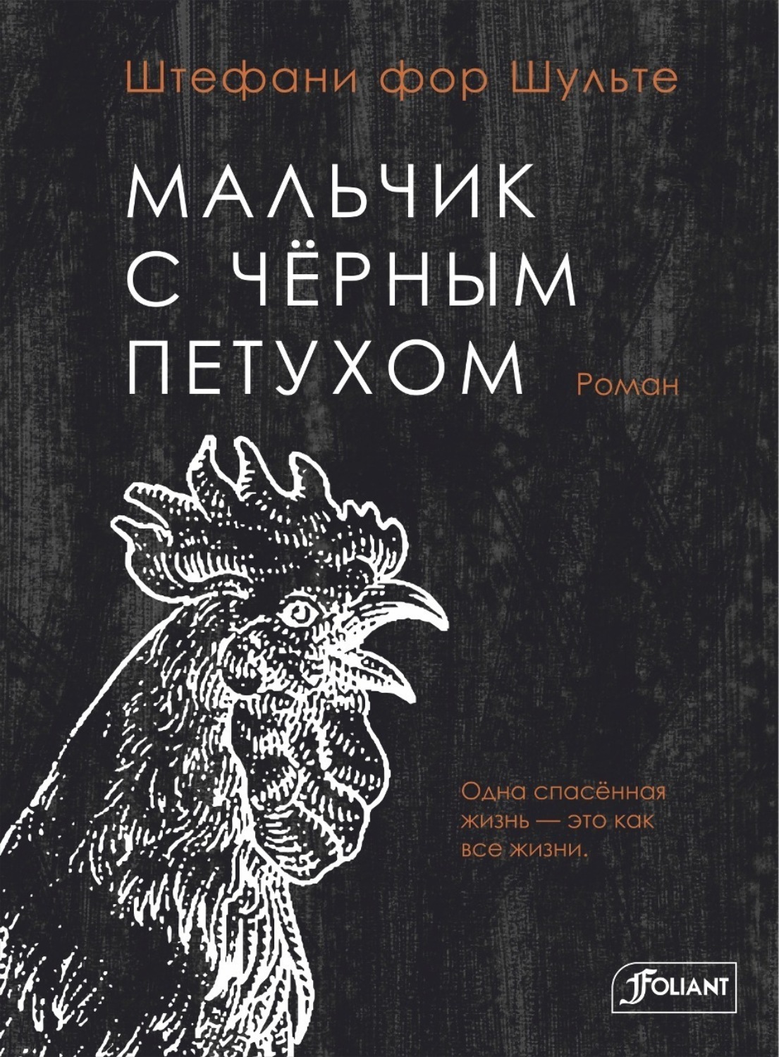 Обложка книги «Мальчик с чёрным петухом»