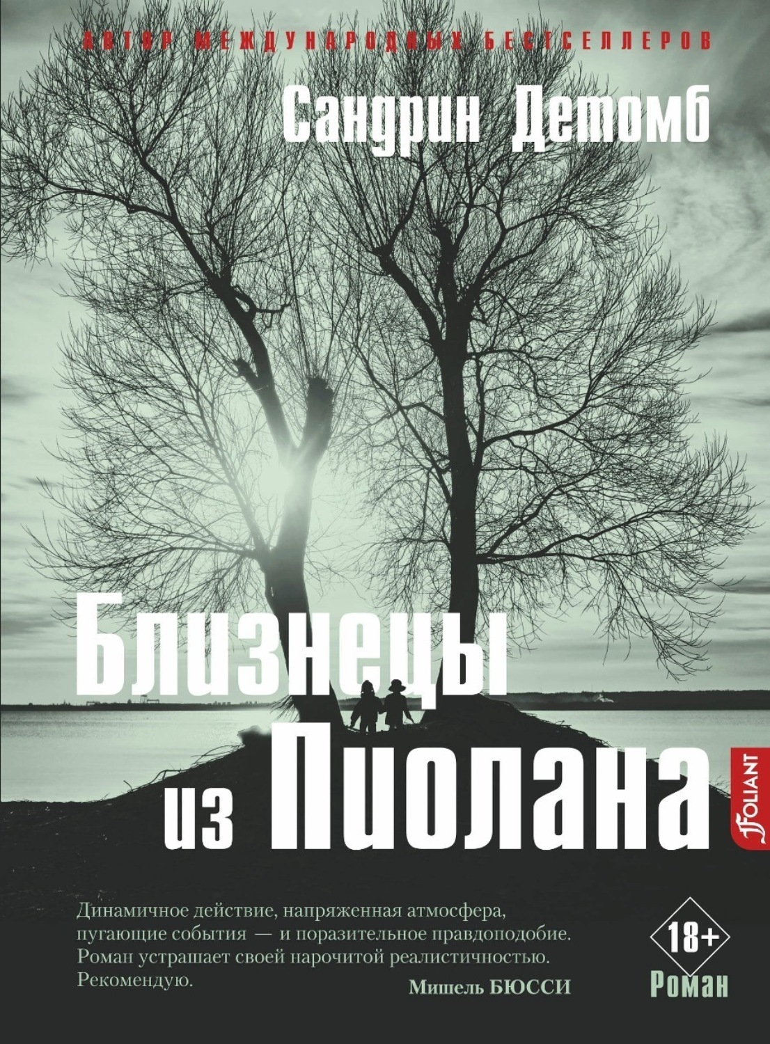 Обложка книги «Близнецы из Пиолана»