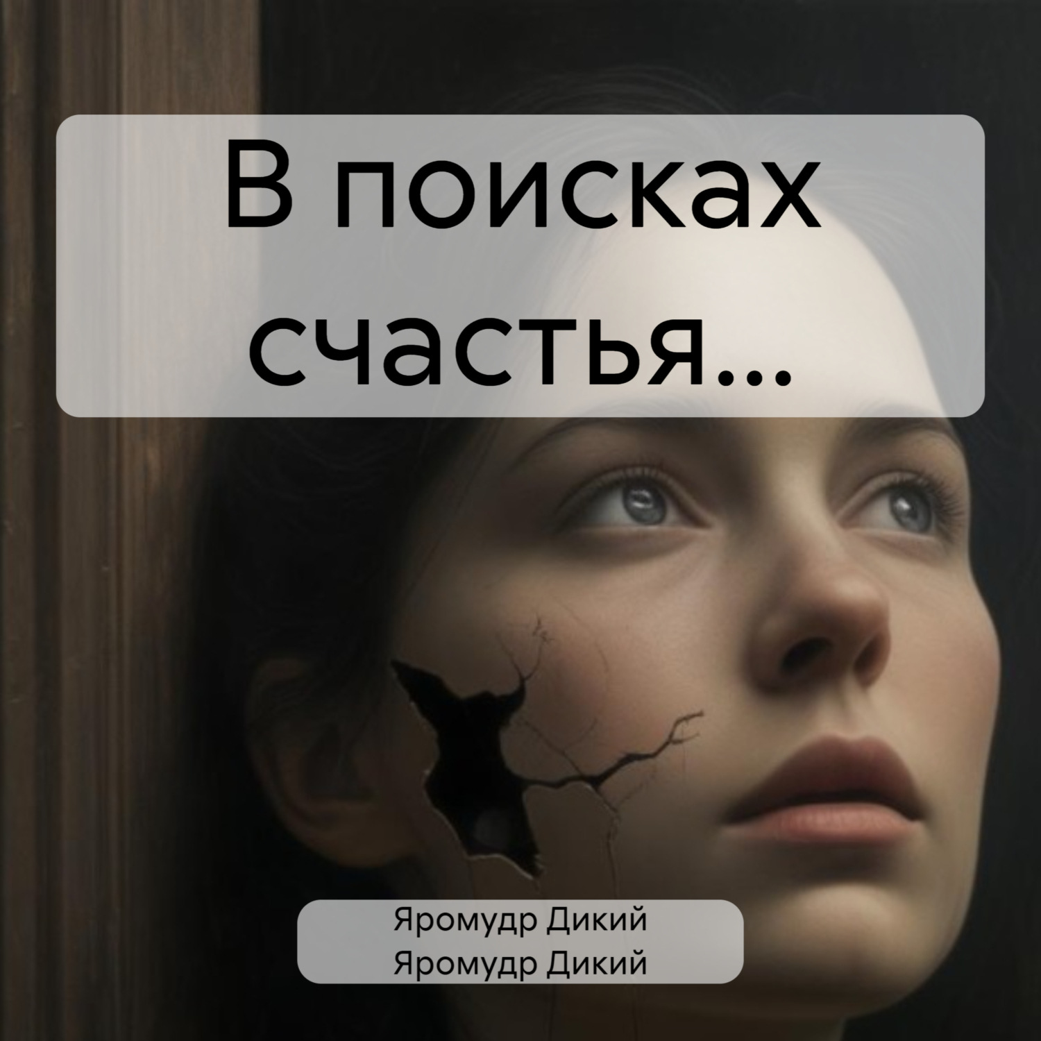 Обложка книги «В поисках счастья…»
