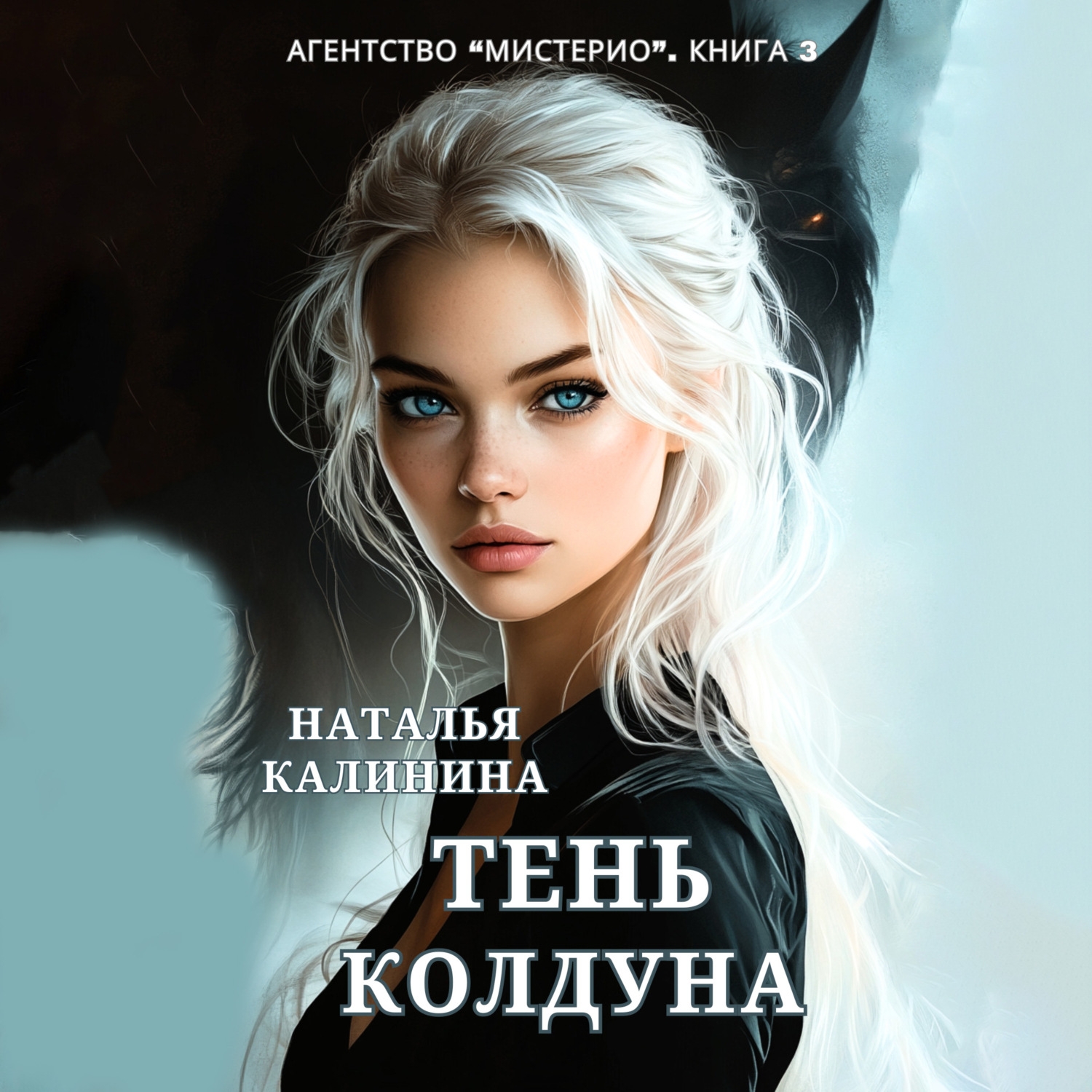 Обложка книги «Тень колдуна»