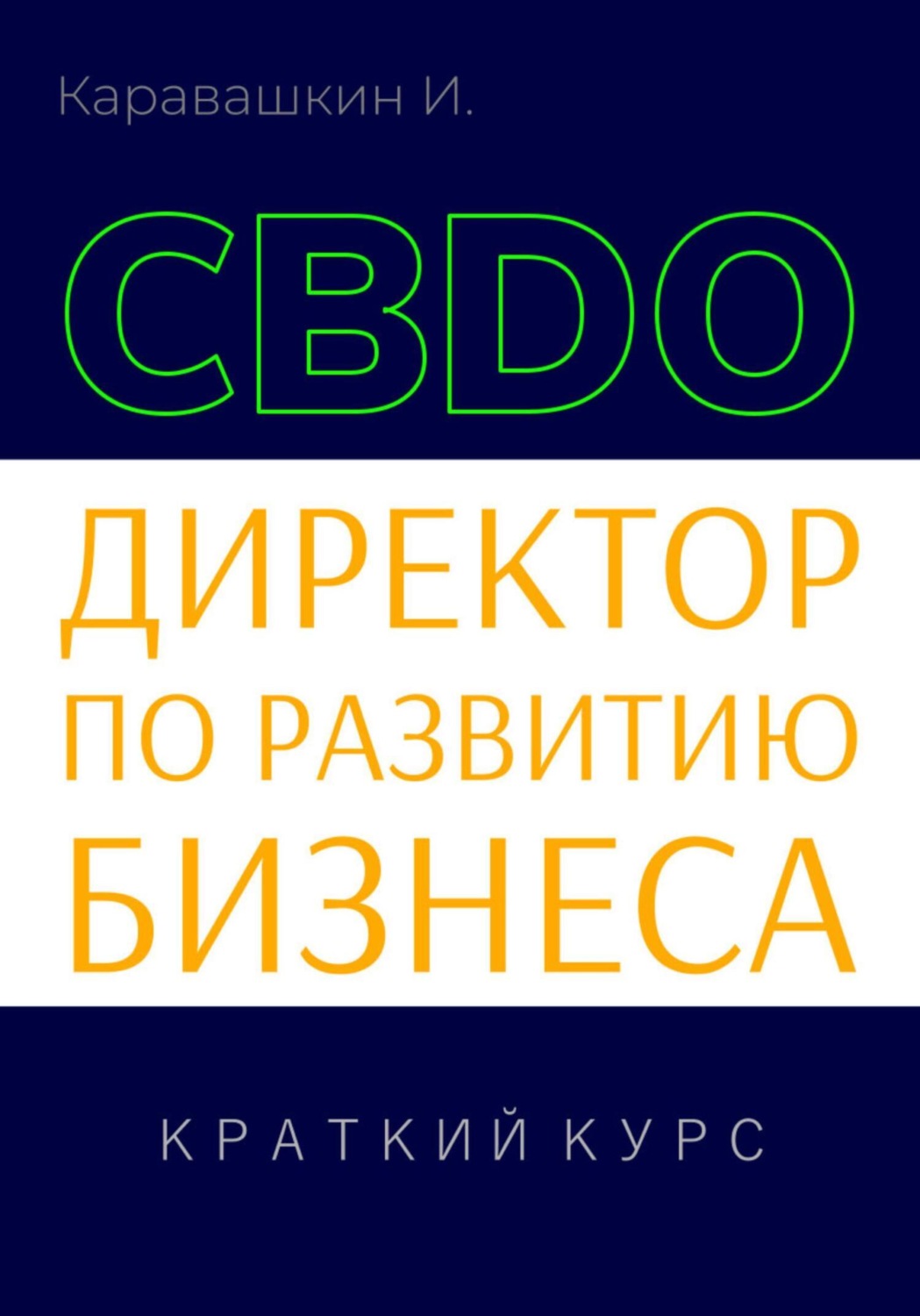 Обложка книги «Директор по развитию бизнеса (CBDO). Краткий курс»