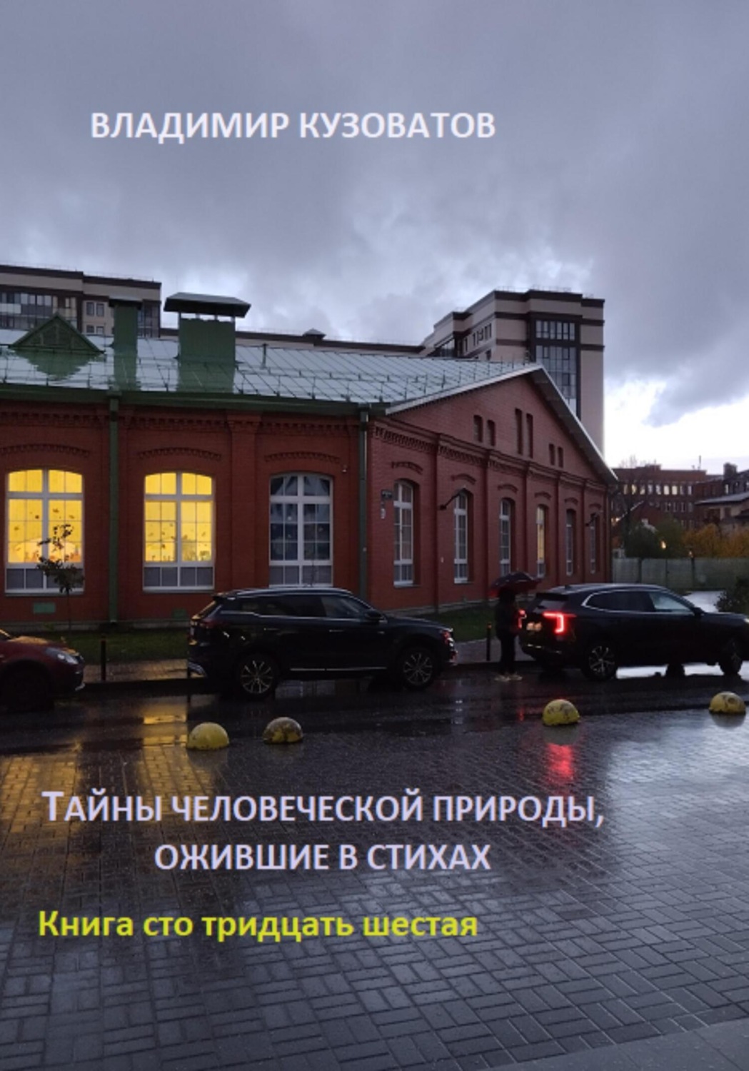 Обложка книги «Тайны человеческой природы, ожившие в стихах. Книга сто тридцать шестая»