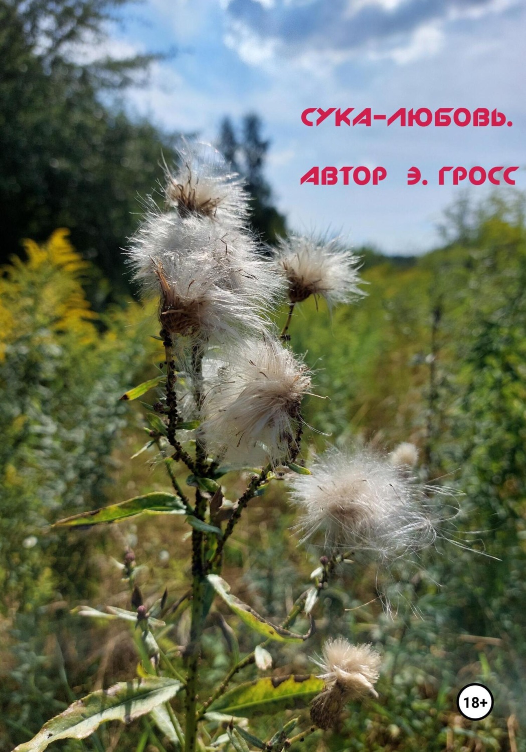 Обложка книги «Сука-любовь»