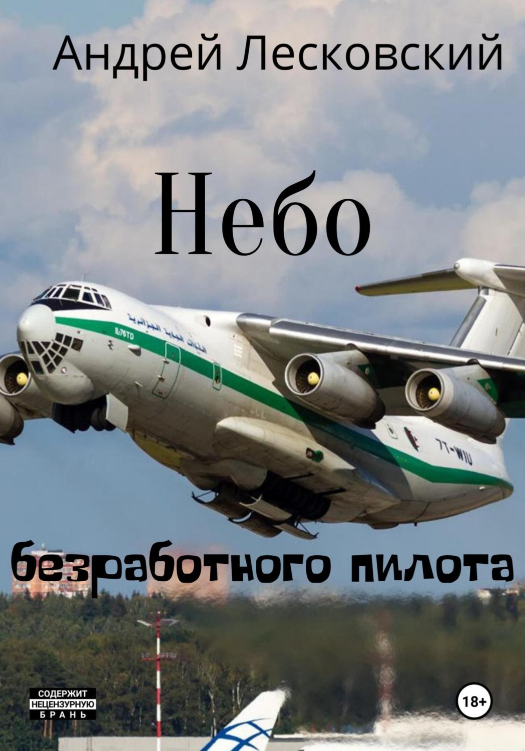 Обложка книги «Небо безработного пилота»