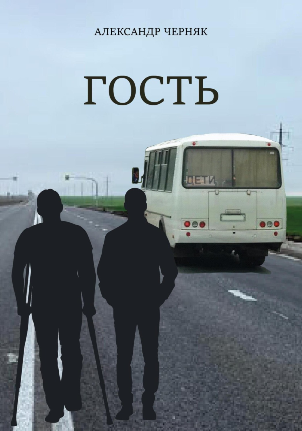 Обложка книги «Гость»