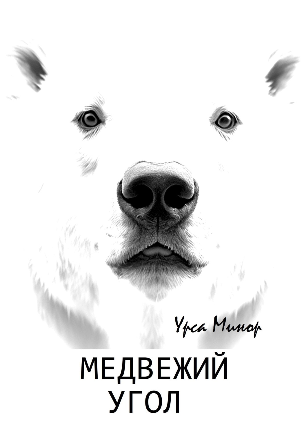 Обложка книги «Медвежий угол»
