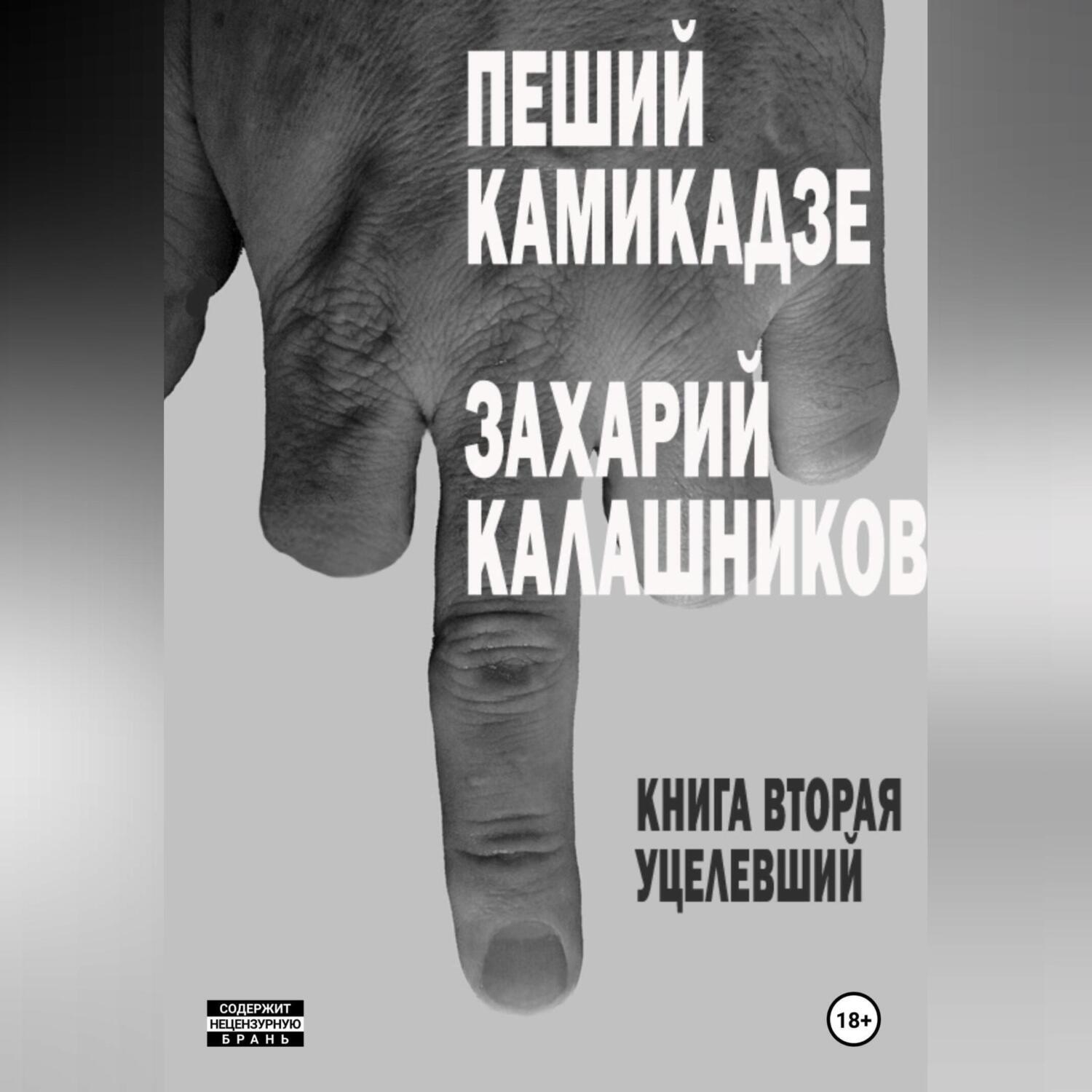 Обложка книги «Пеший камикадзе. Книга вторая. Уцелевший»