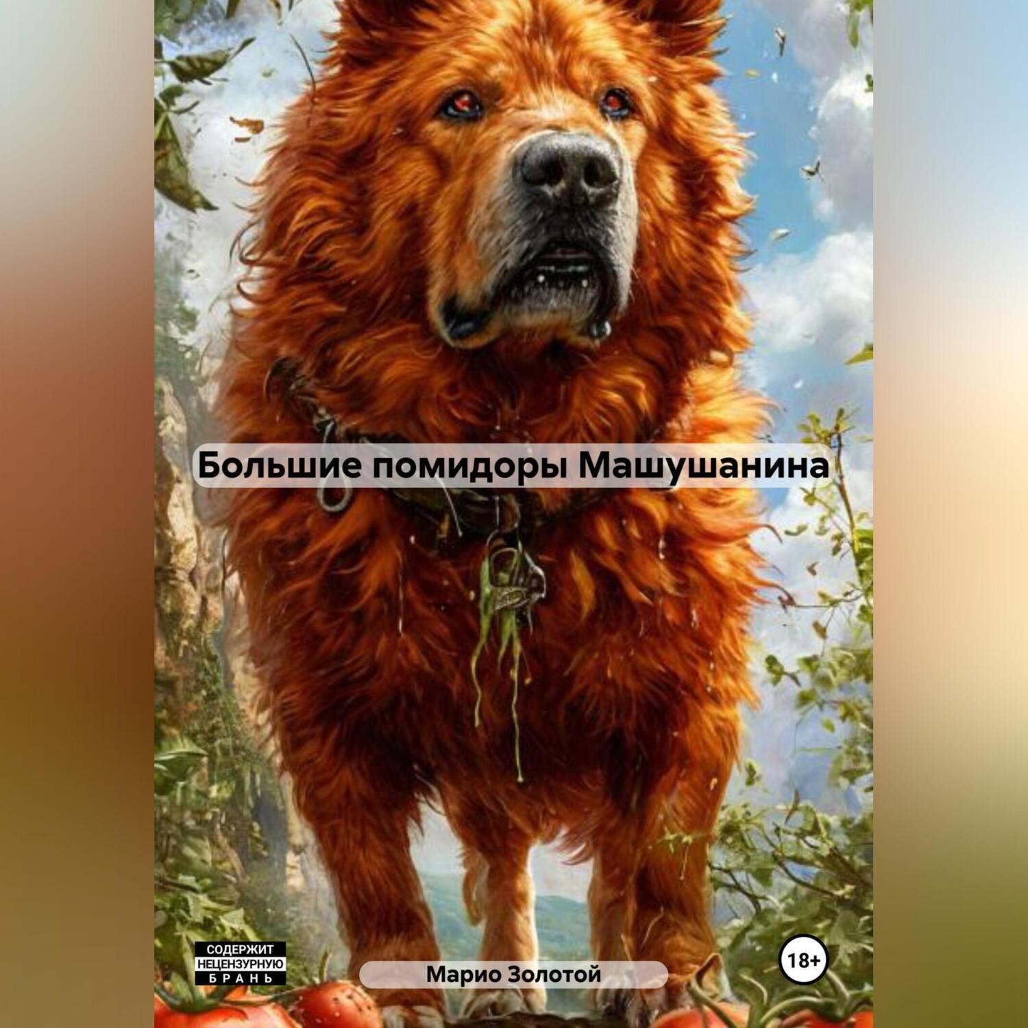 Обложка книги «Большие помидоры Машушанина»