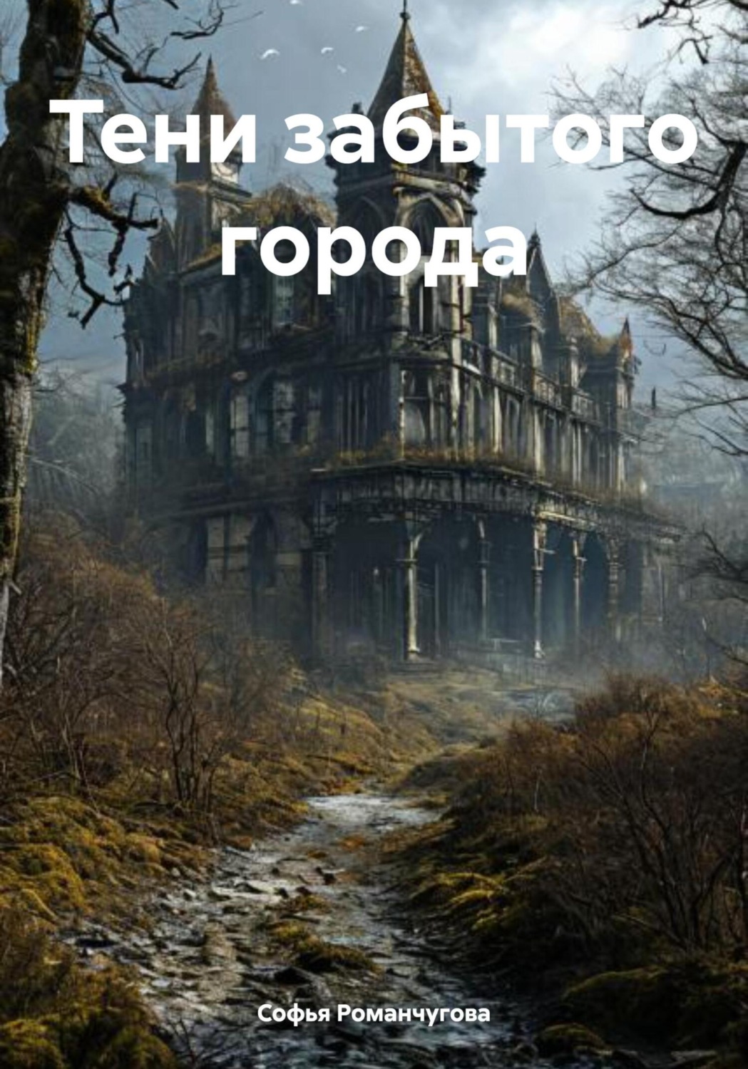 Обложка книги «Тени забытого города»