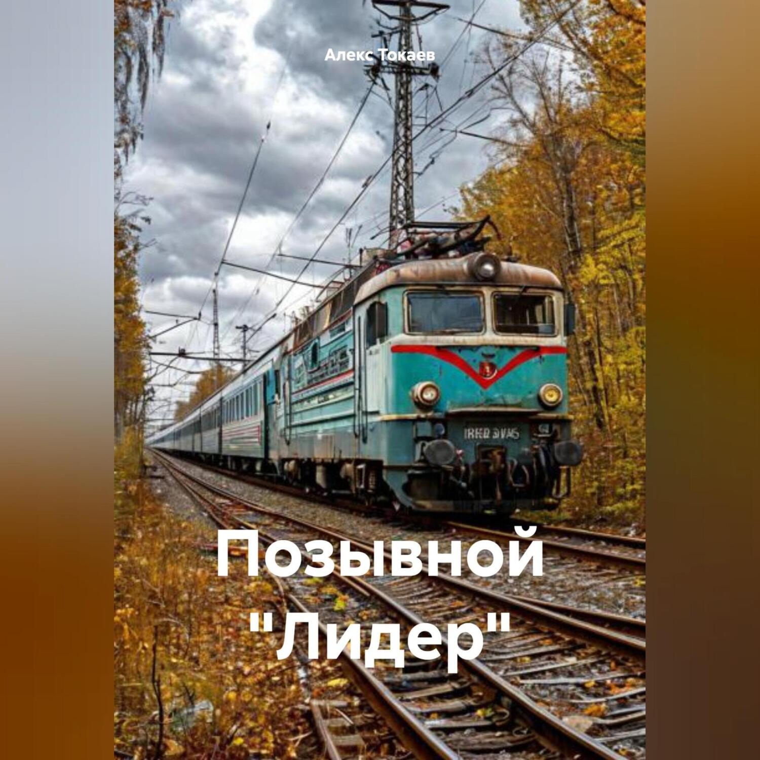 Обложка книги «Позывной «Лидер»»