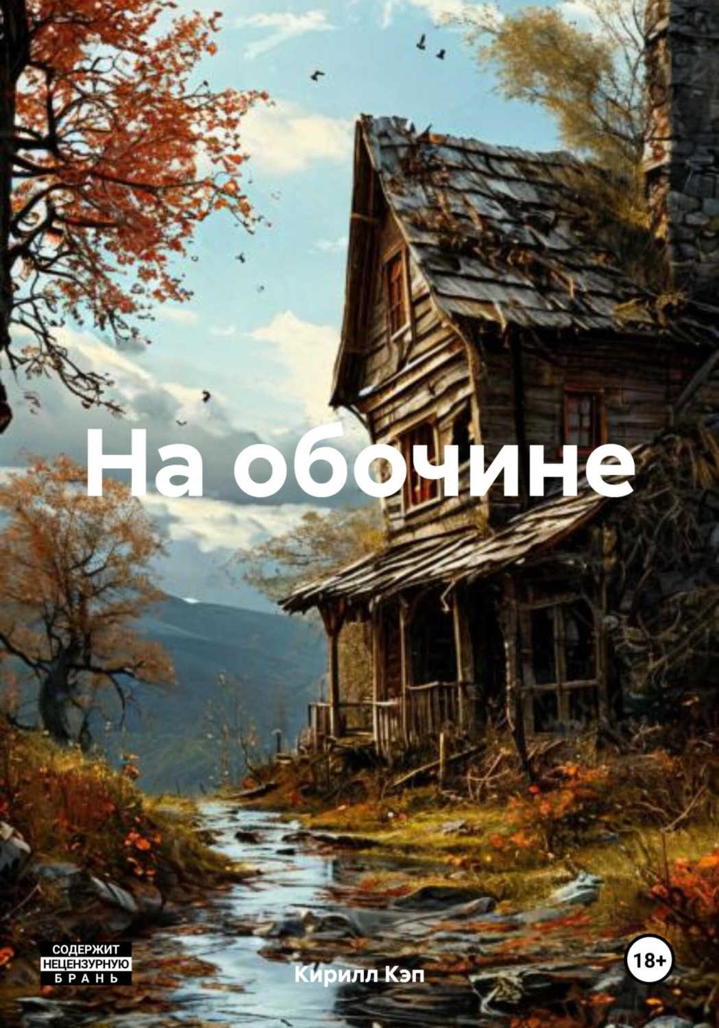 Обложка книги «На обочине»