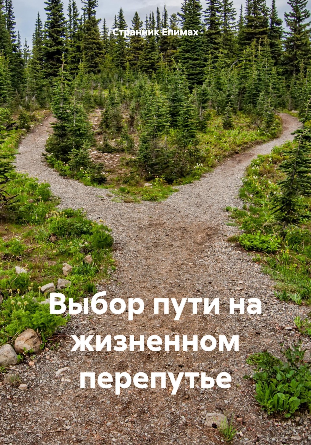 Обложка книги «Выбор пути на жизненном перепутье»