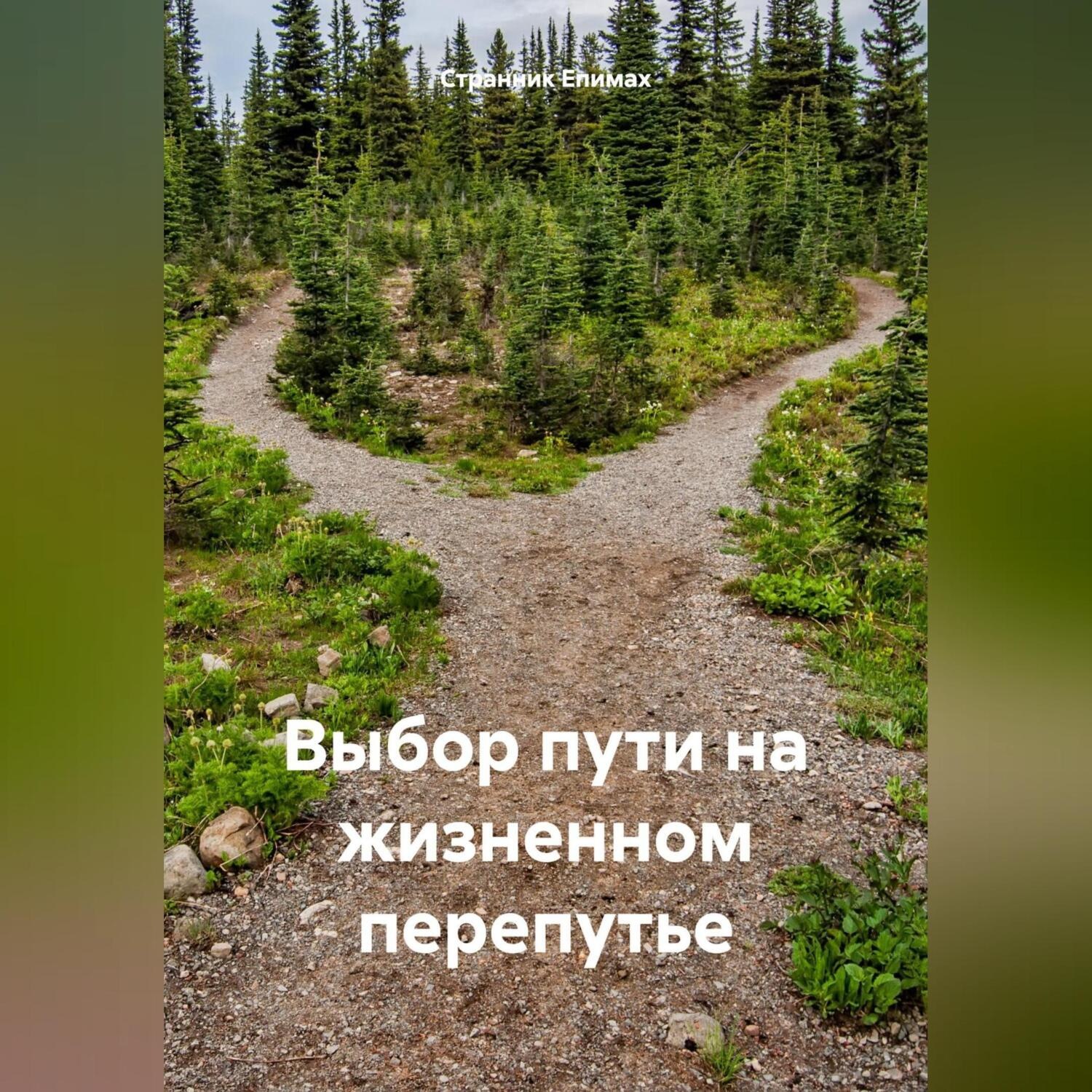 Обложка книги «Выбор пути на жизненном перепутье»