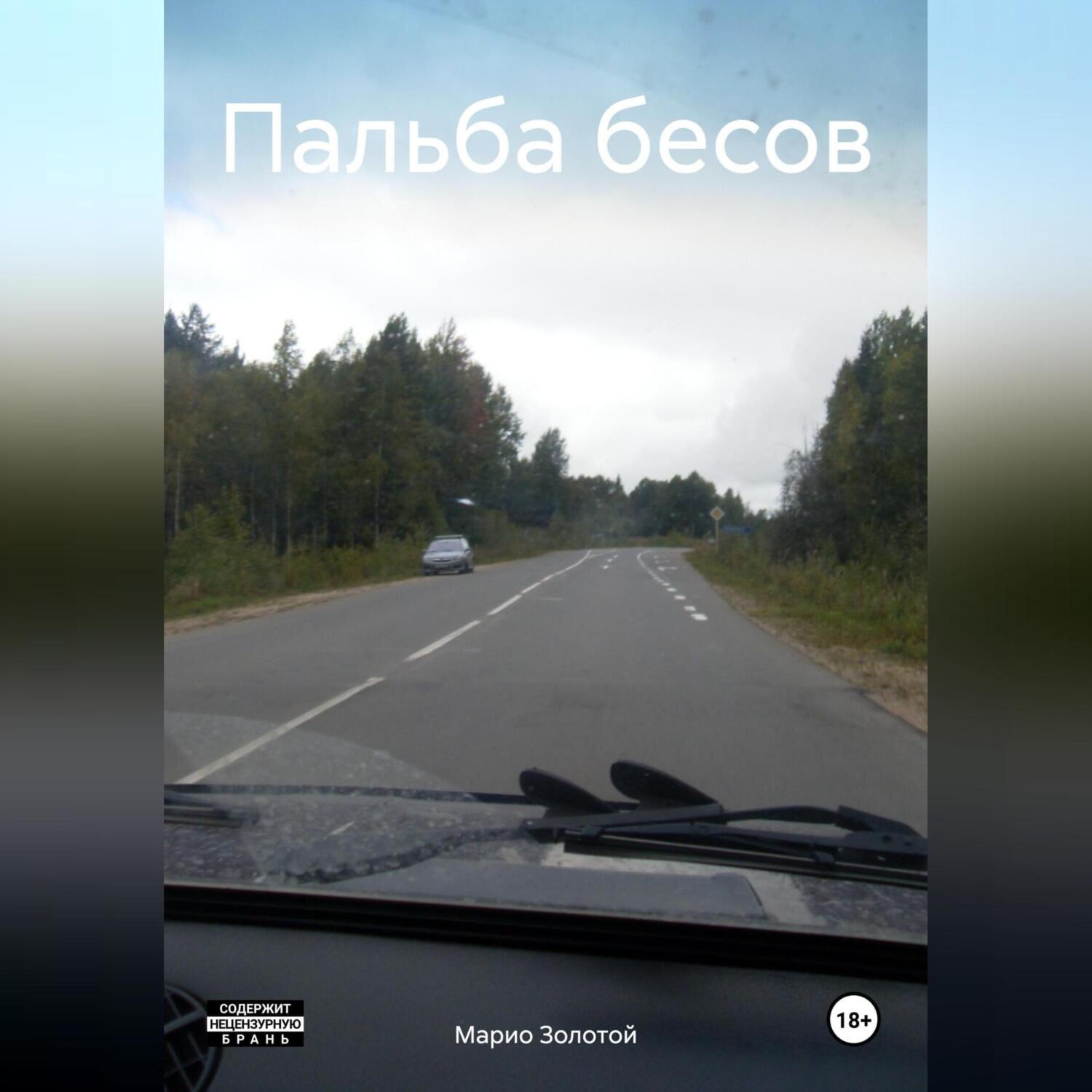 Обложка книги «Пальба бесов»