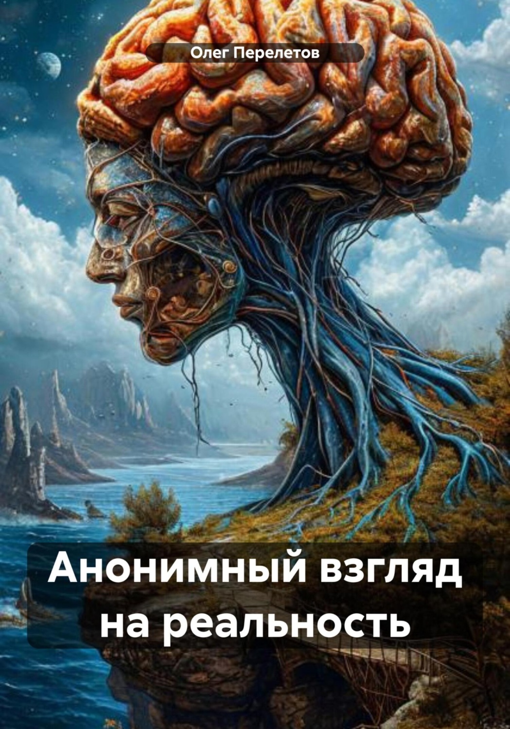 Обложка книги «Анонимный взгляд на реальность»