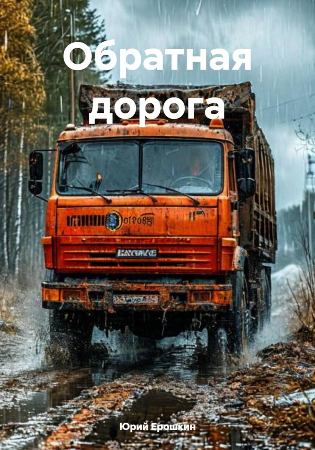 Обложка книги «Обратная дорога»
