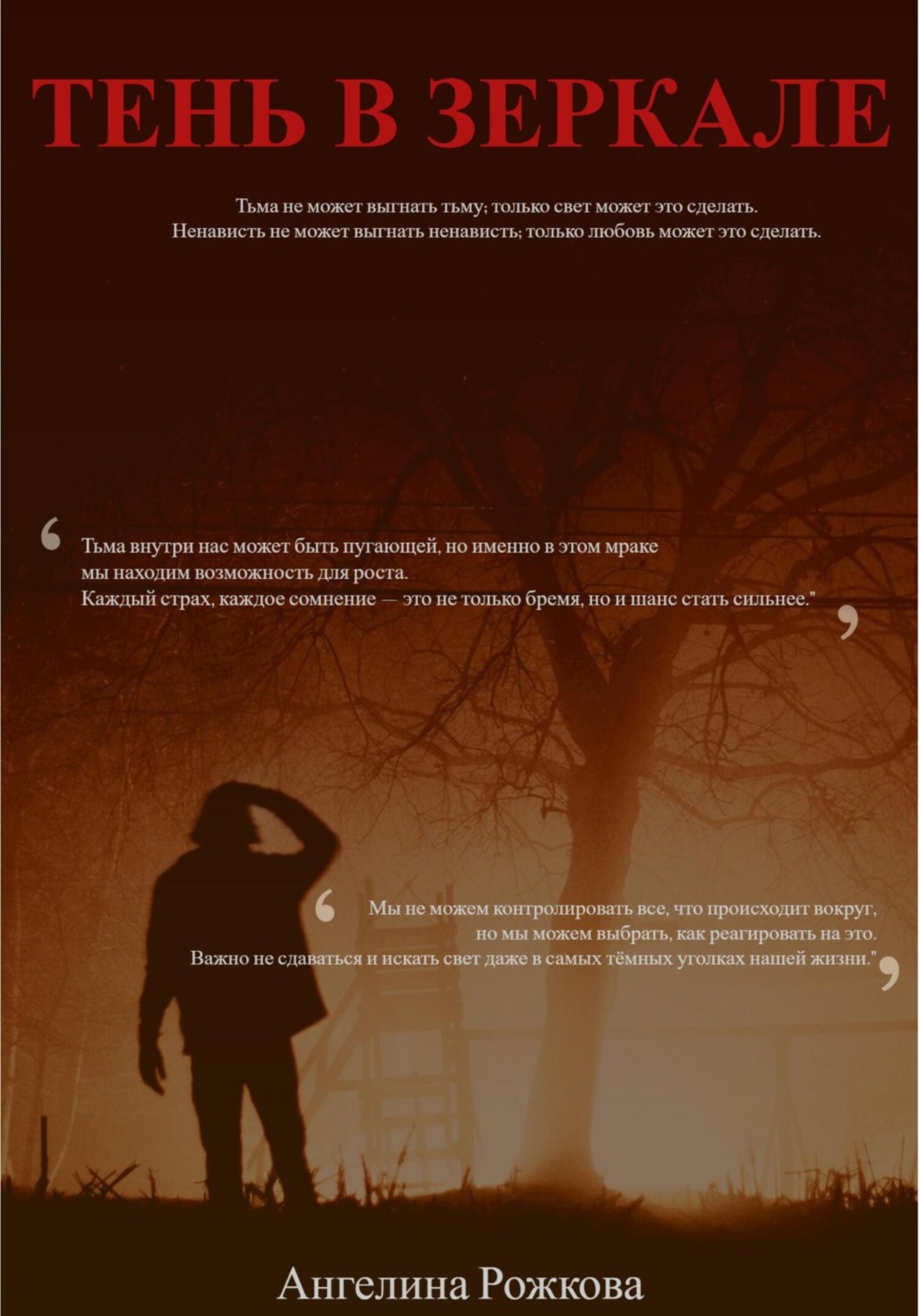 Обложка книги «Тень в зеркале»