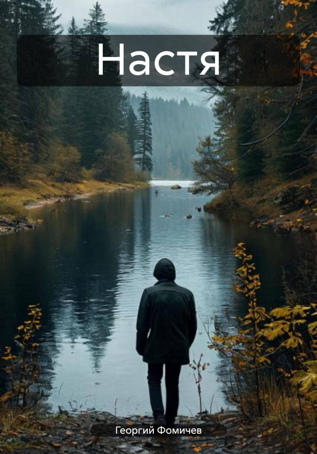 Обложка книги «Настя»